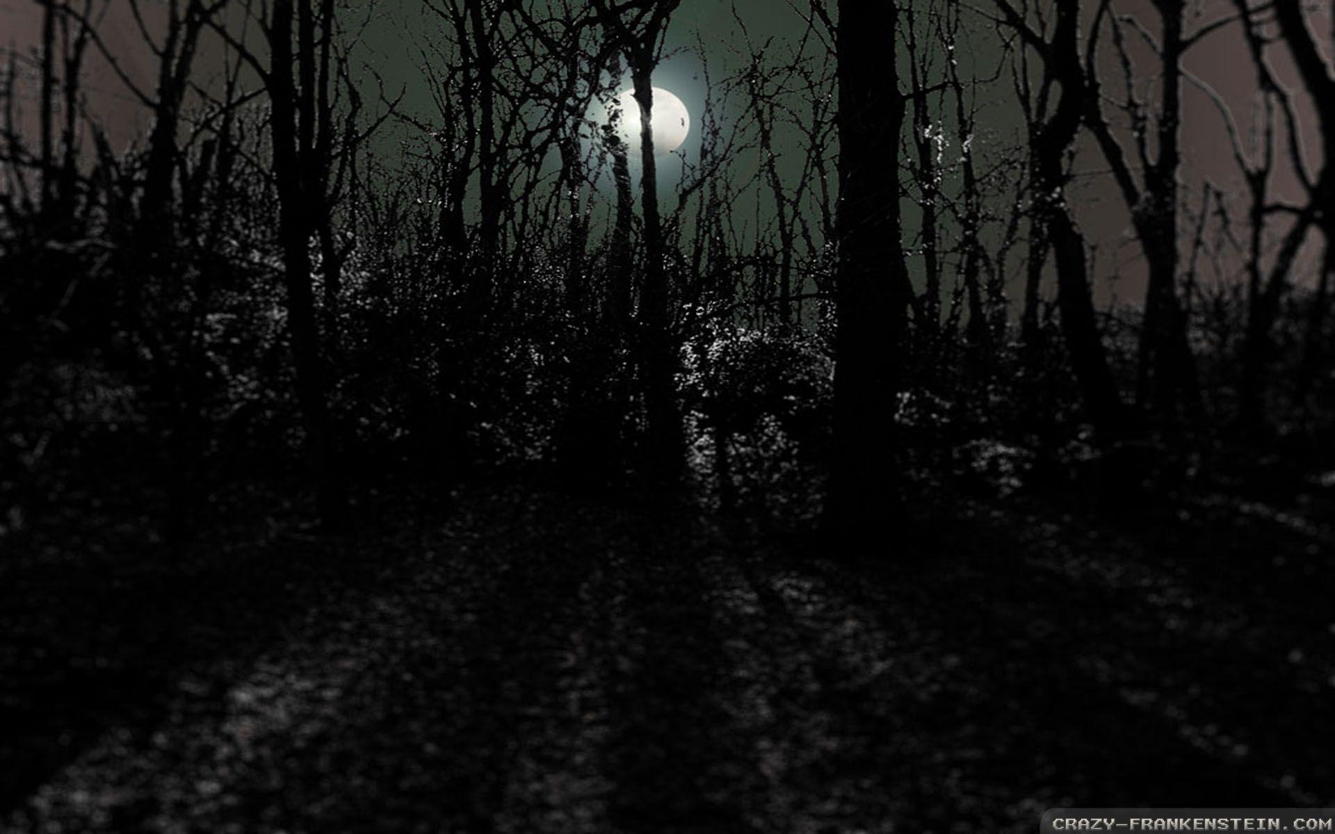 1920x1200 Summer Night wallpaper