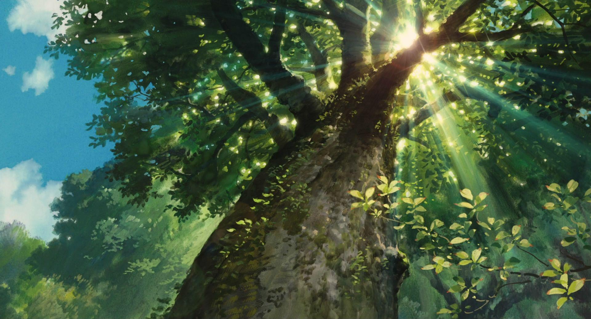1920x1038 Scenery Green Anime Wallpaper