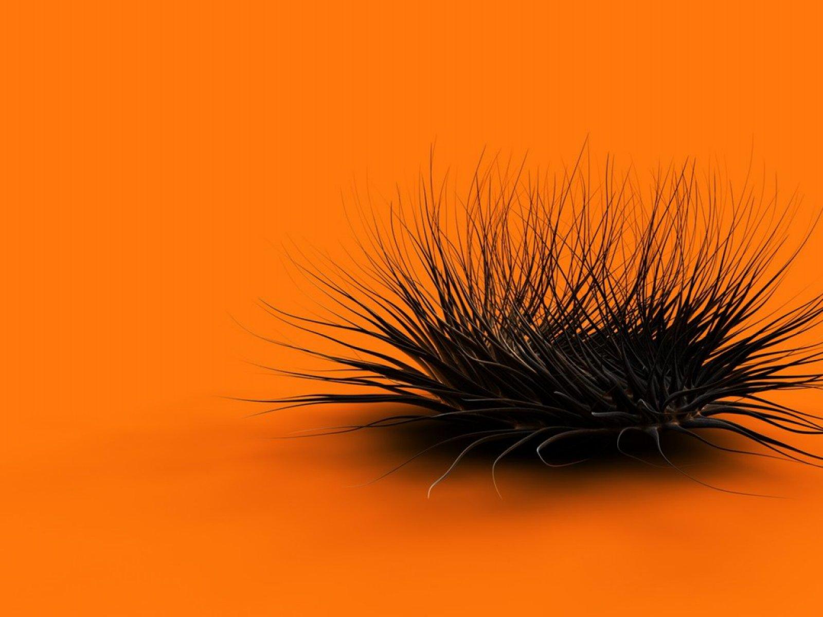 1600x1200 Free Black fuzz art, Digital Art computer desktop wallpaper