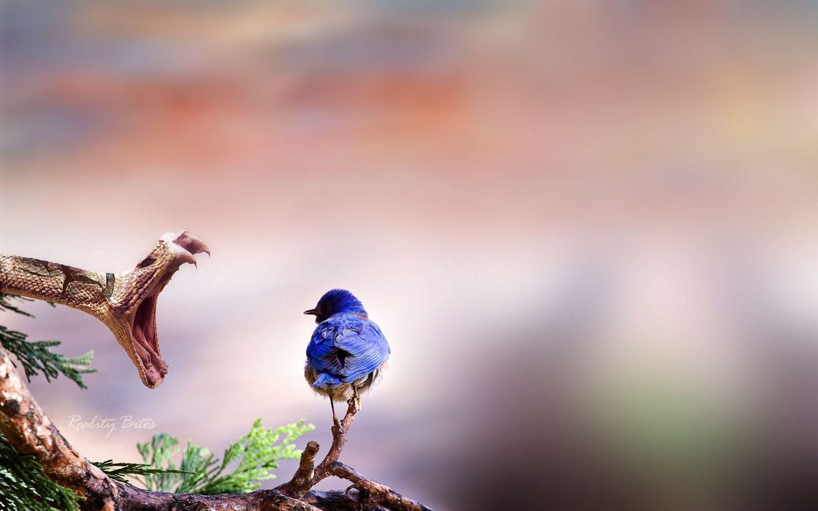 1680x1050 Landscape wallpaper dream world 18832 Wallpaper