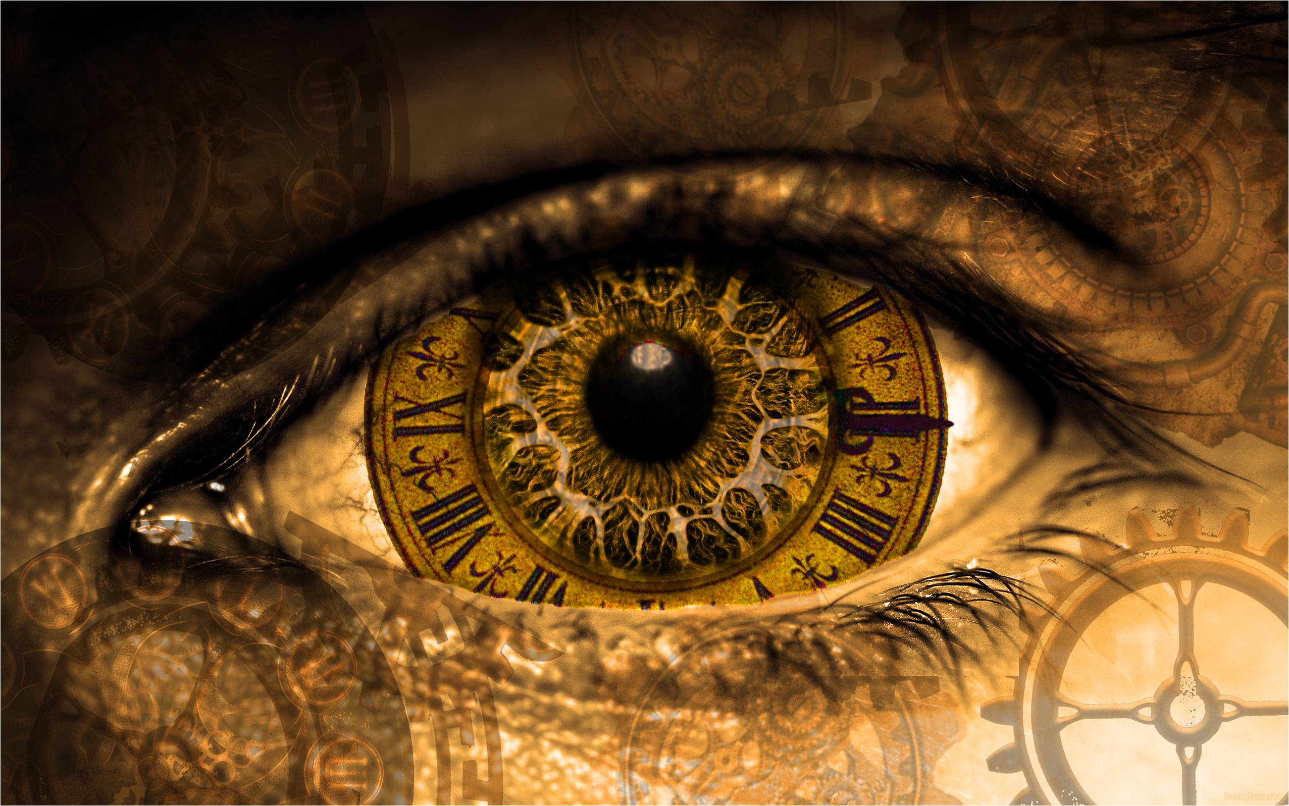 2553x1597 Wiki Background Eye Of Horus HD Pic Inside An Eye Wallpaper & Background Download