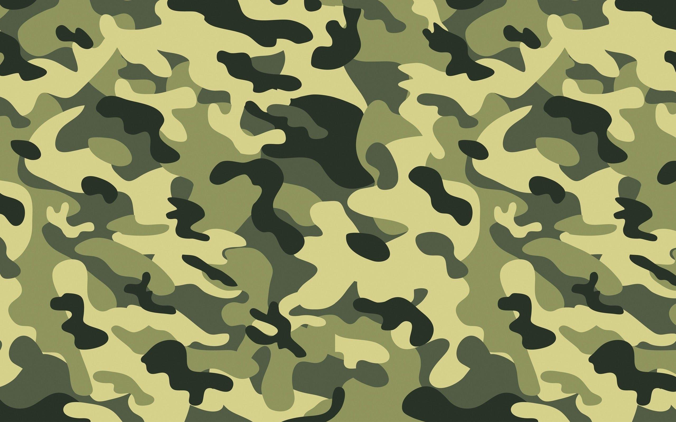 Total 164+ imagem camouflage powerpoint background - Thcshoanghoatham ...