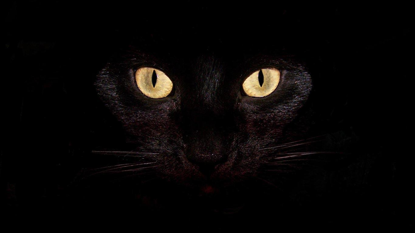 1366x768 Laptop Wallpaper 15424 1366x768 px