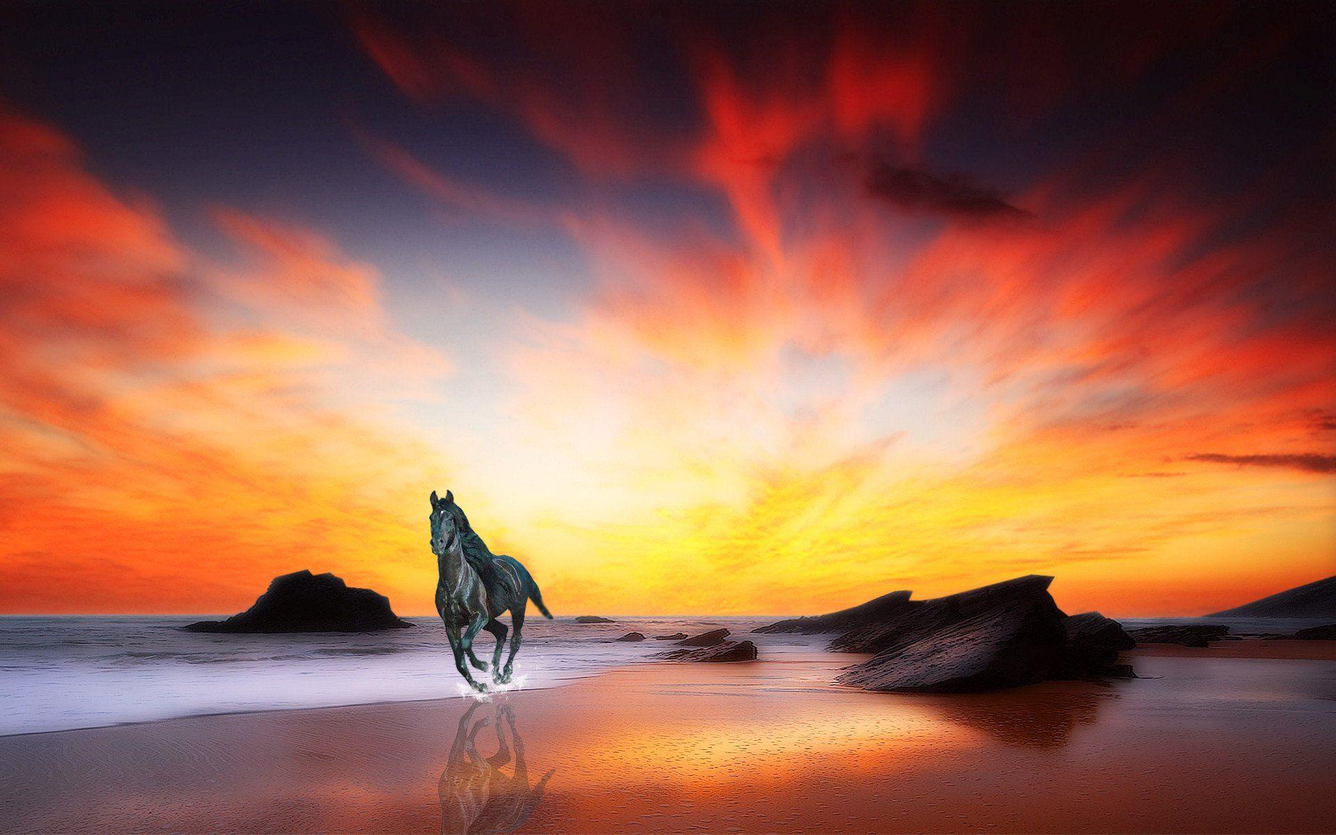 1920x1200 Christian Zennaro: Best Sunrise Wallpaper, High Definition, High Quality