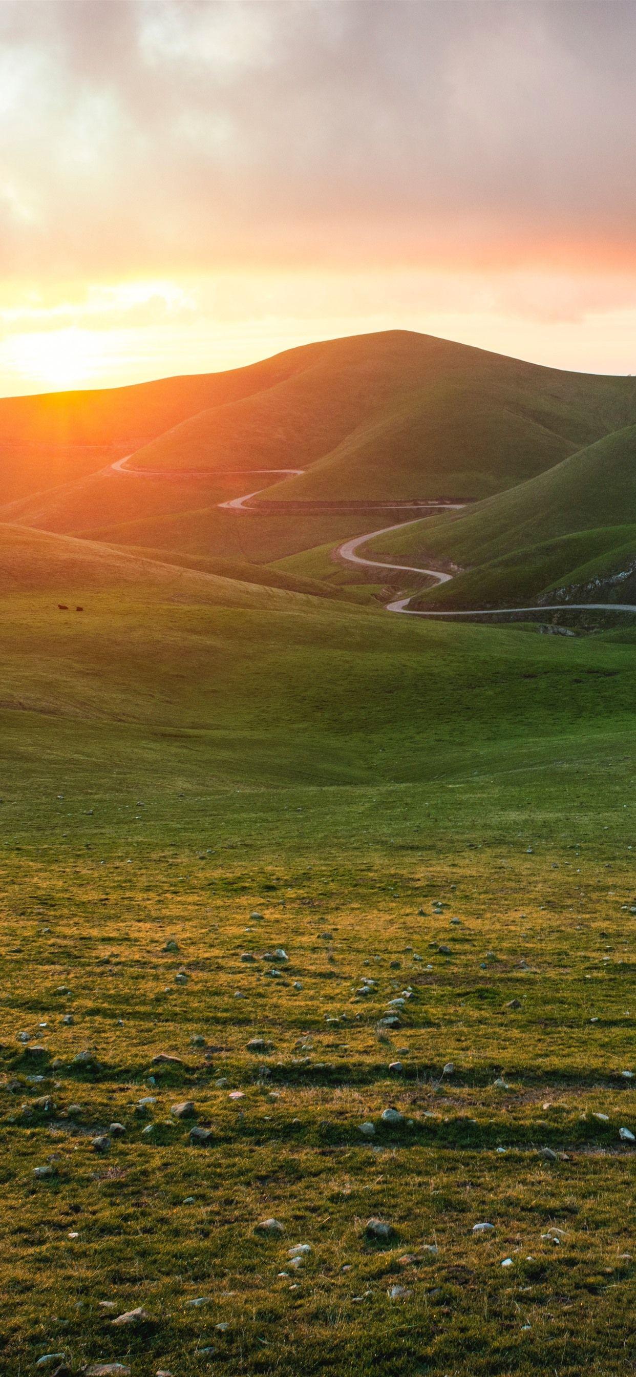 1242x2688 Mountains, Road, Grass, Sunrise, Nature Landscape 1242x2688 IPhone 11 Pro XS Max Wallpaper, Background, Picture, Image