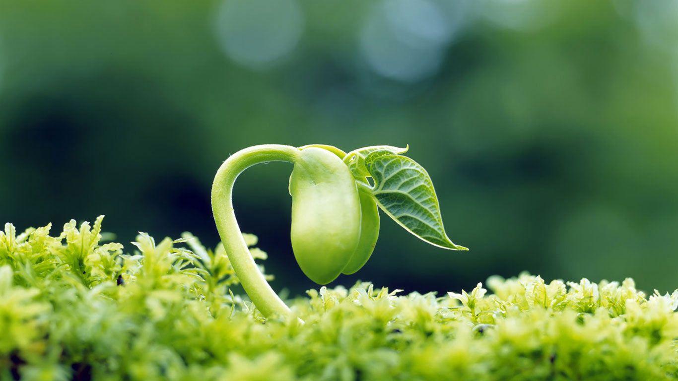 1366x768 Background High Quality Beautiful HD For Laptop Screen Background