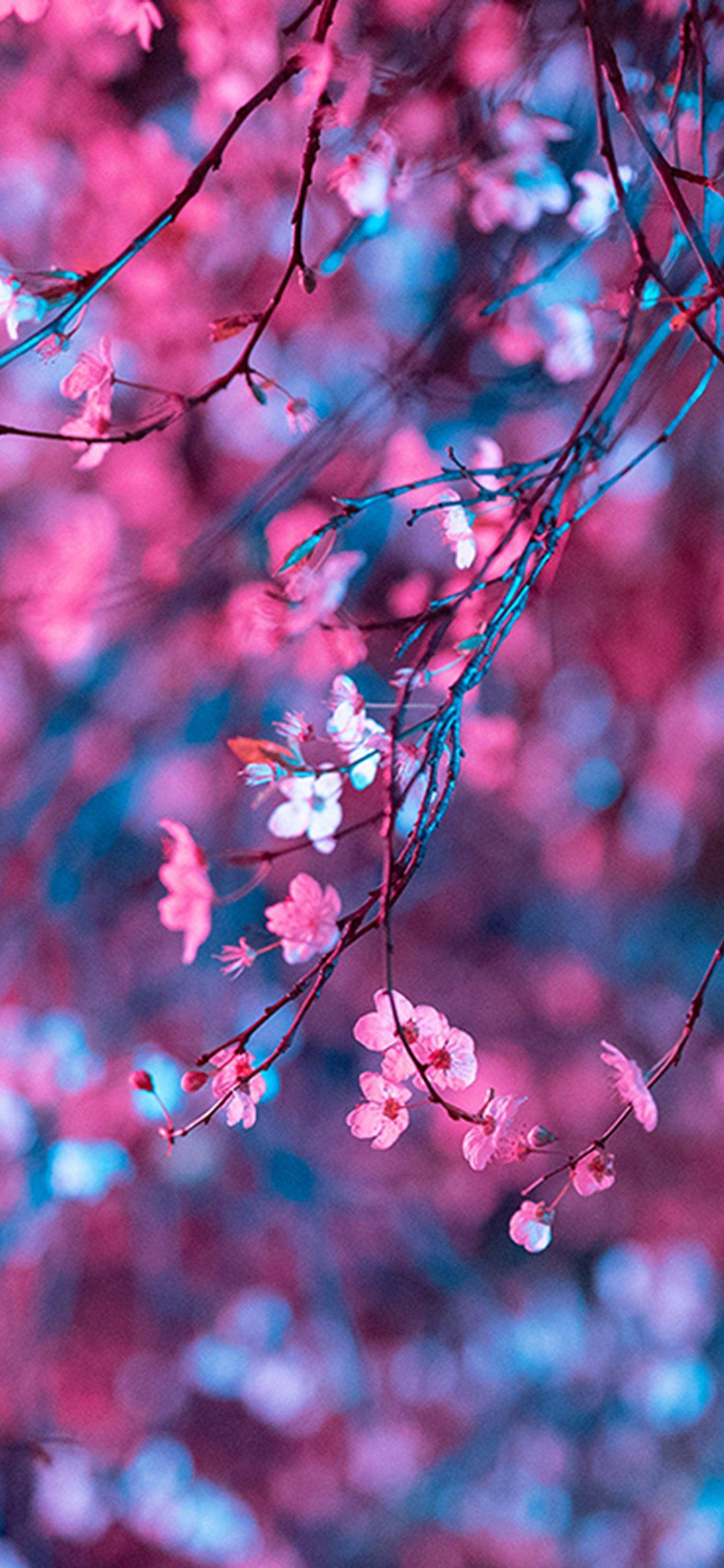 1125x2436 iPhone X wallpaper. art flower red light cherry blossom spring