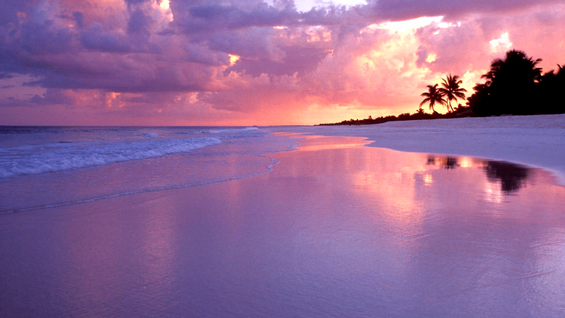 Pink Beach Sunset Desktop Wallpapers Top Free Pink Beach Sunset Desktop Backgrounds Wallpaperaccess