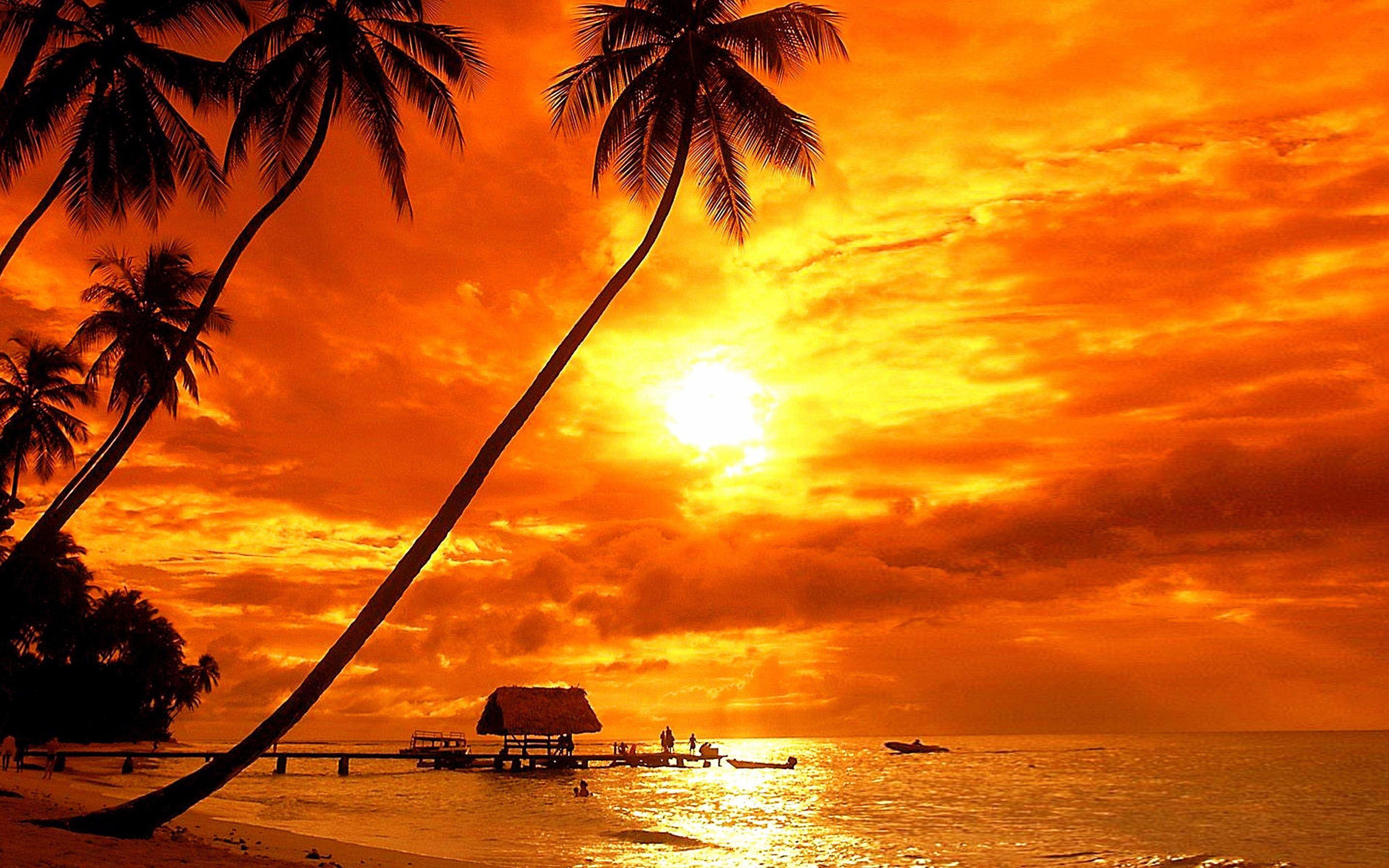 3840x2400 Bora Bora Tropical Sunset Beach Palm Trees Red Sky Clouds Ultra HD 4k Wallpaper For Desktop Laptop Tablet Mobile Phones And Tv 3840х2400