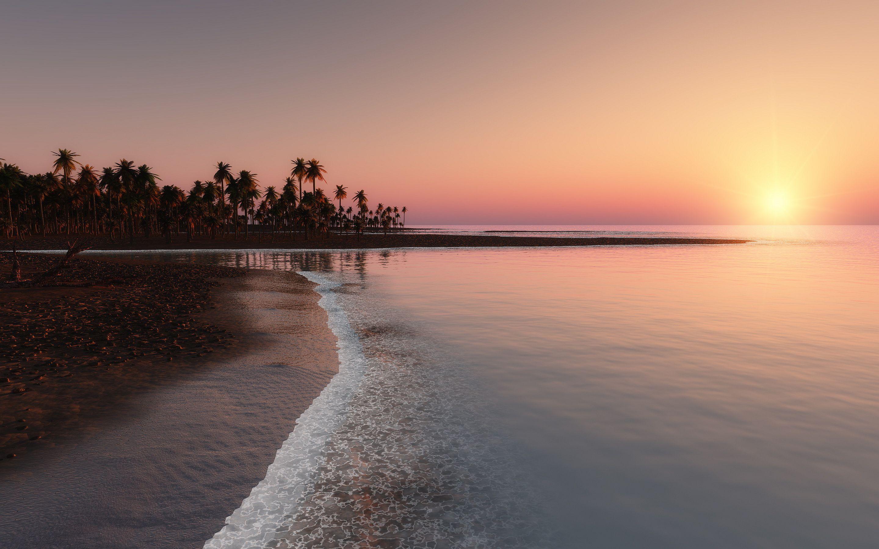 2880x1800 Tropical palms sunset