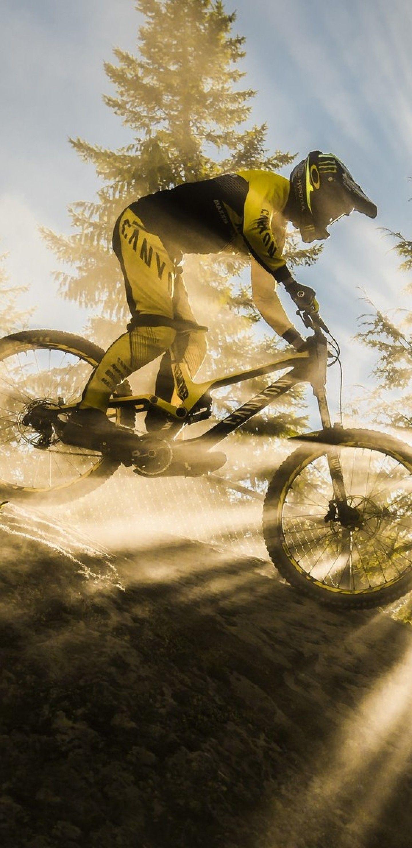 3000 Mountain Bike Stunt Stock Photos Pictures  RoyaltyFree Images   iStock