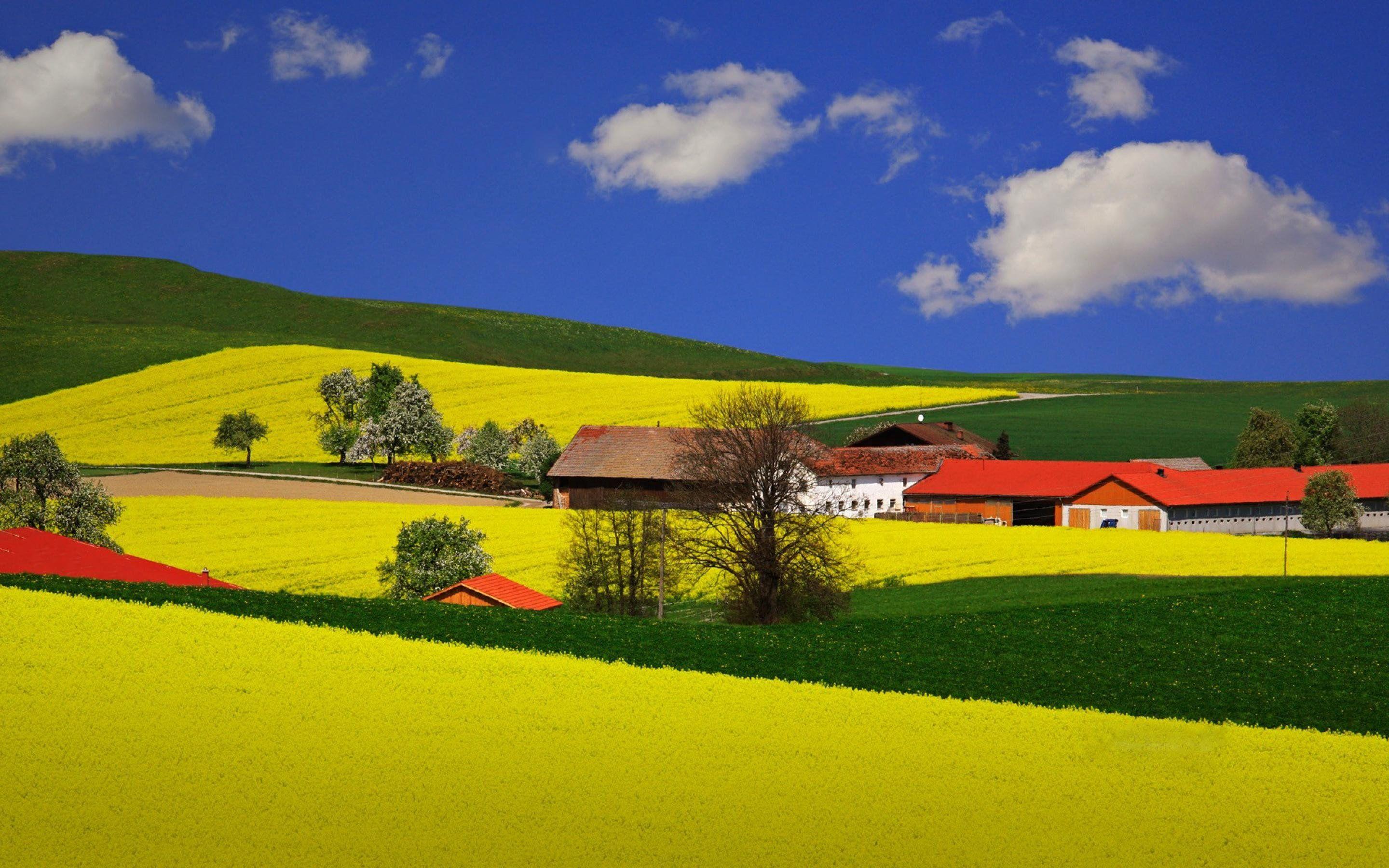 2880x1800 Summer Landscape Wallpaper, High Resolution Desktop Image