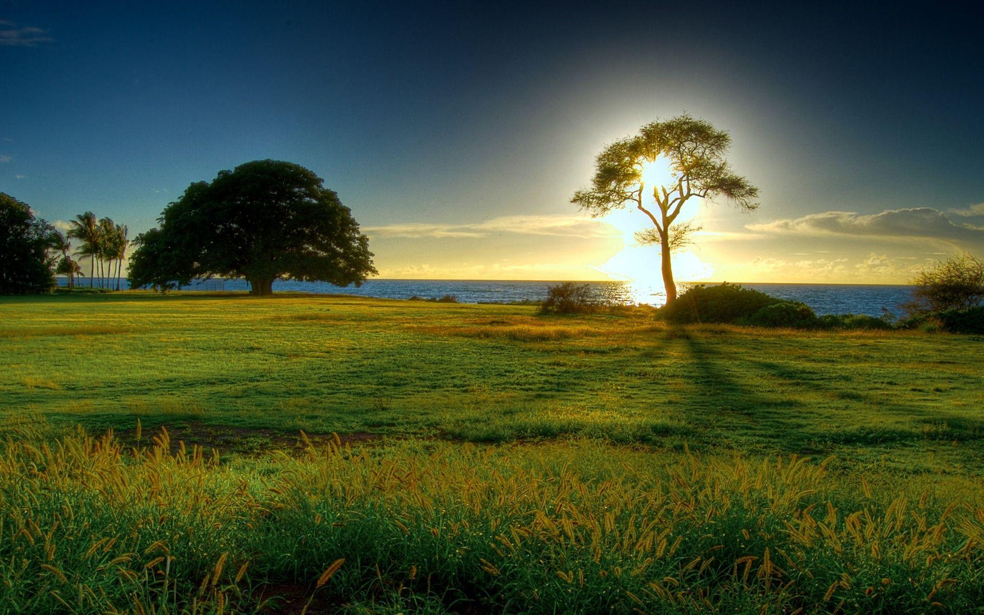 1920x1200 Spring Season Weather HD Wallpaper free for Desktop