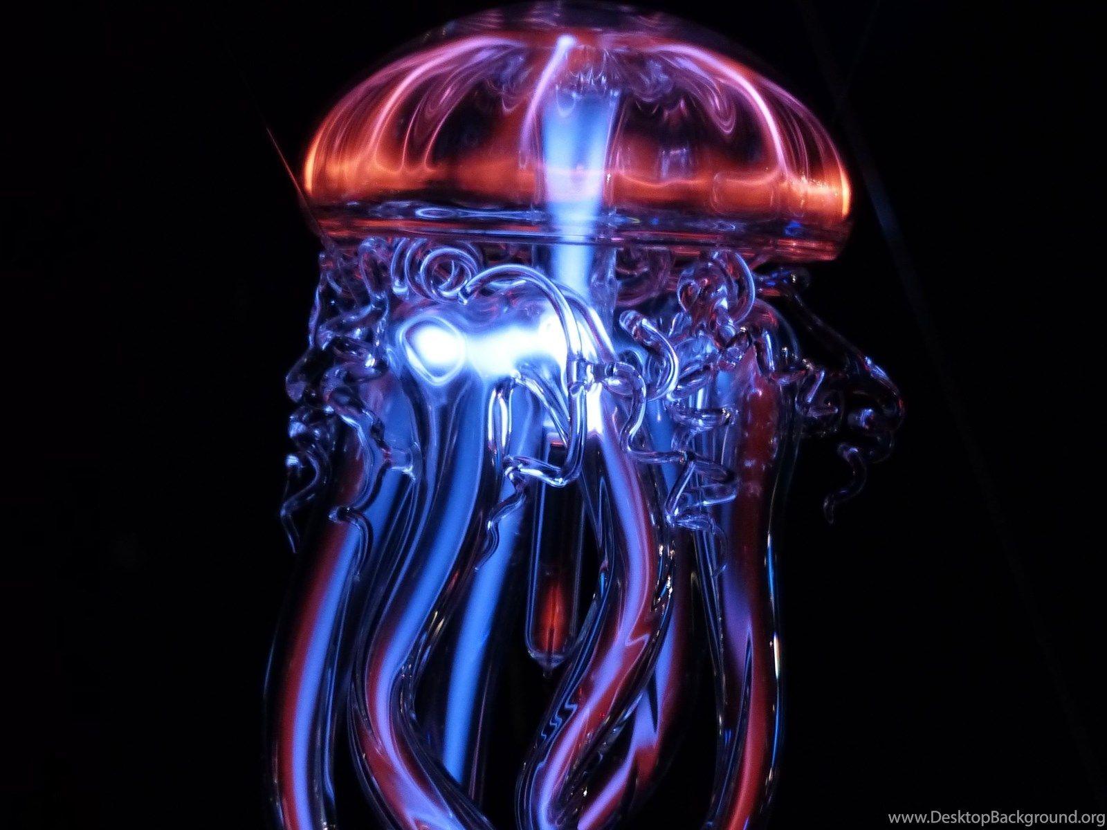 1600x1200 Jellyfish Hot & Cold Light Phenomenon Wallpaper - HD Wallpaper Desktop Background