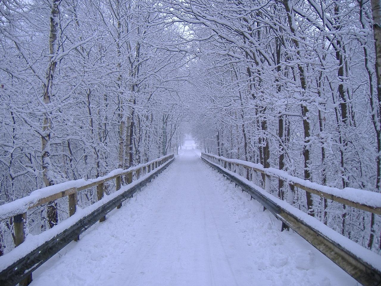 1280x960 Free download winter Scene wallpaper winder snowscape wallpaper snowy [1280x960] for your Desktop, Mobile & Tablet. Explore Free Winter Wallpaper Scenes. Free Winter Wallpaper, Snow Scene Wallpaper for Desktop