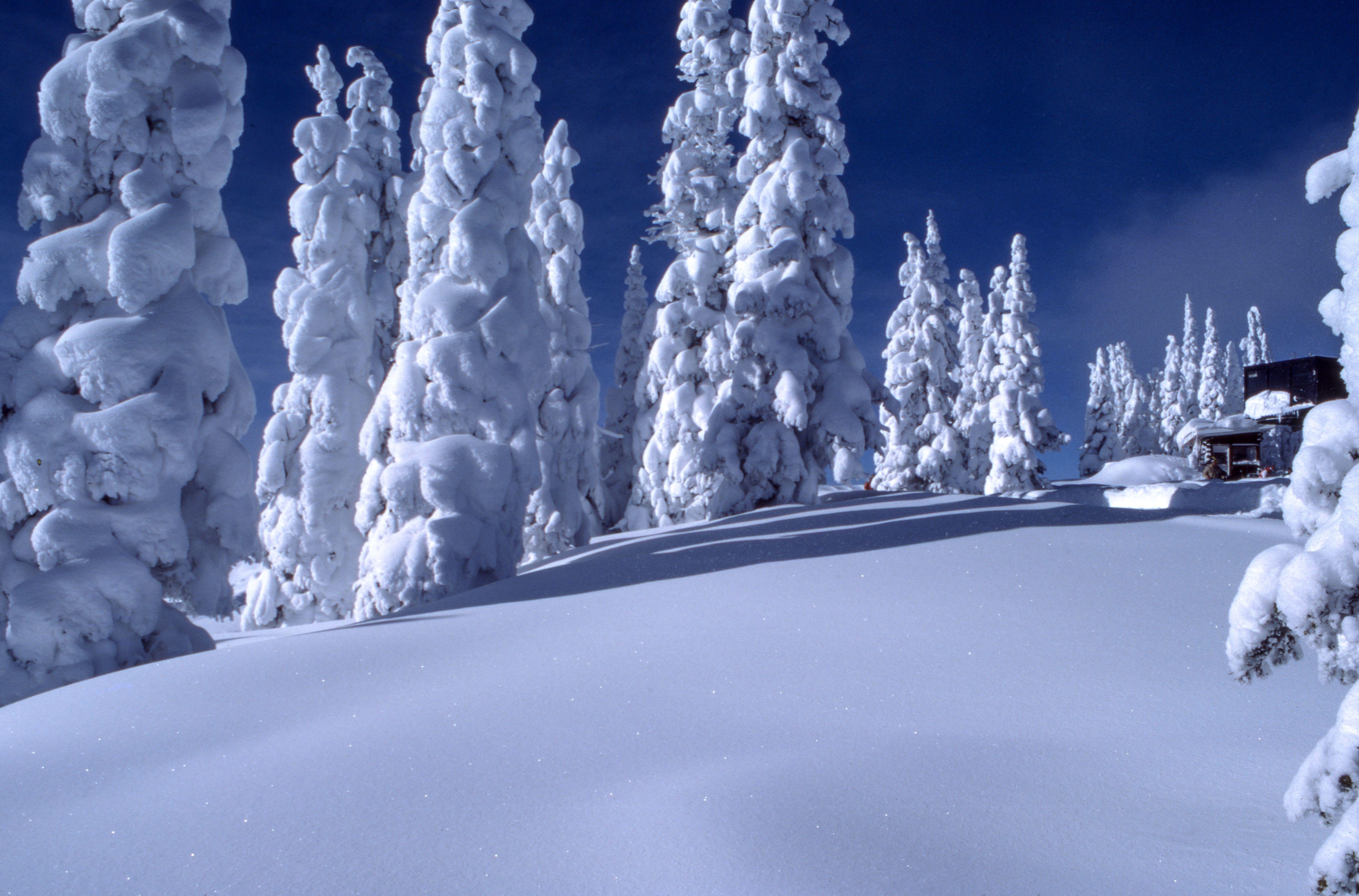 6208x4095 Winter landscape HD wallpaper, Background