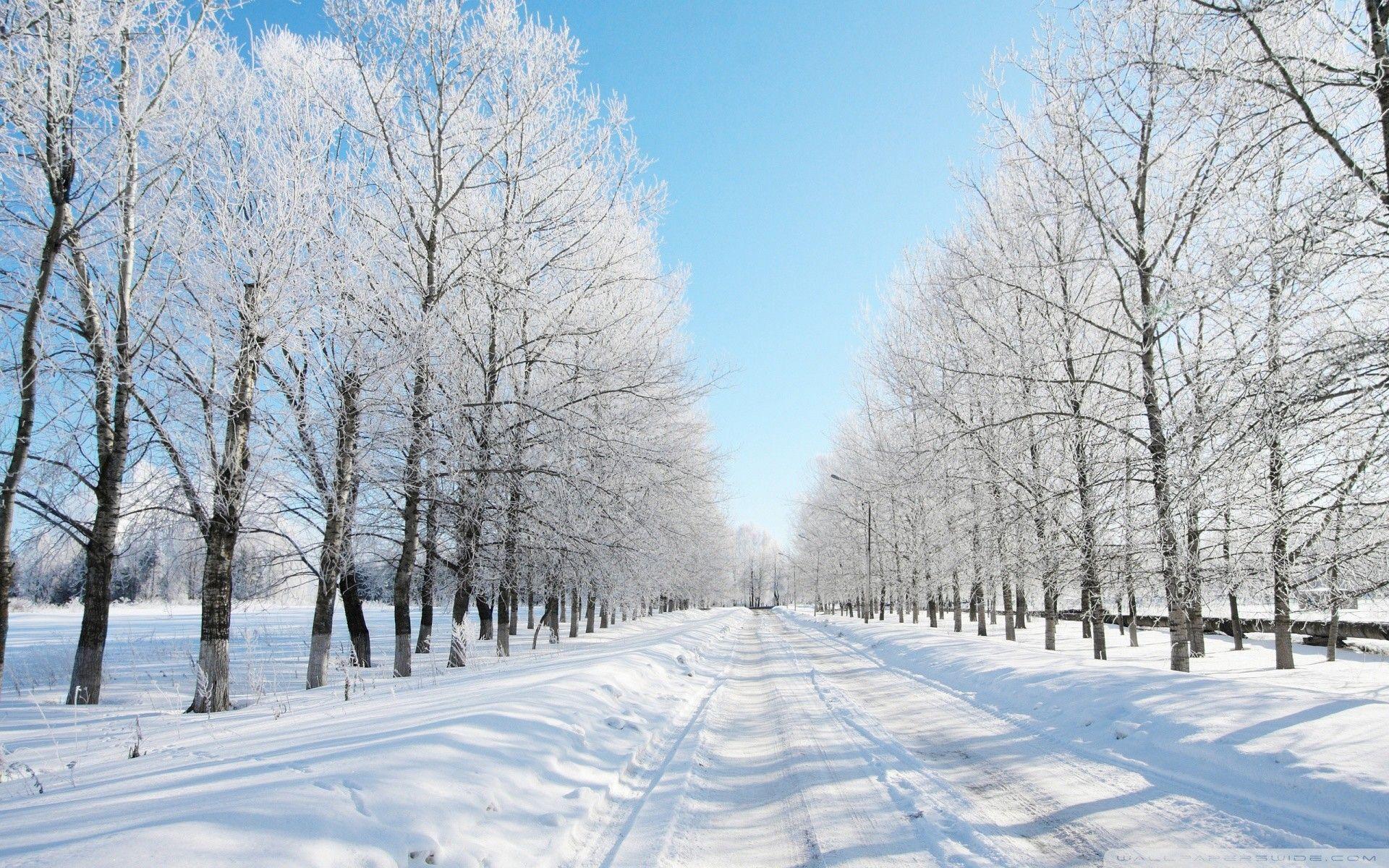 1920x1200 Wallpaper Snowing