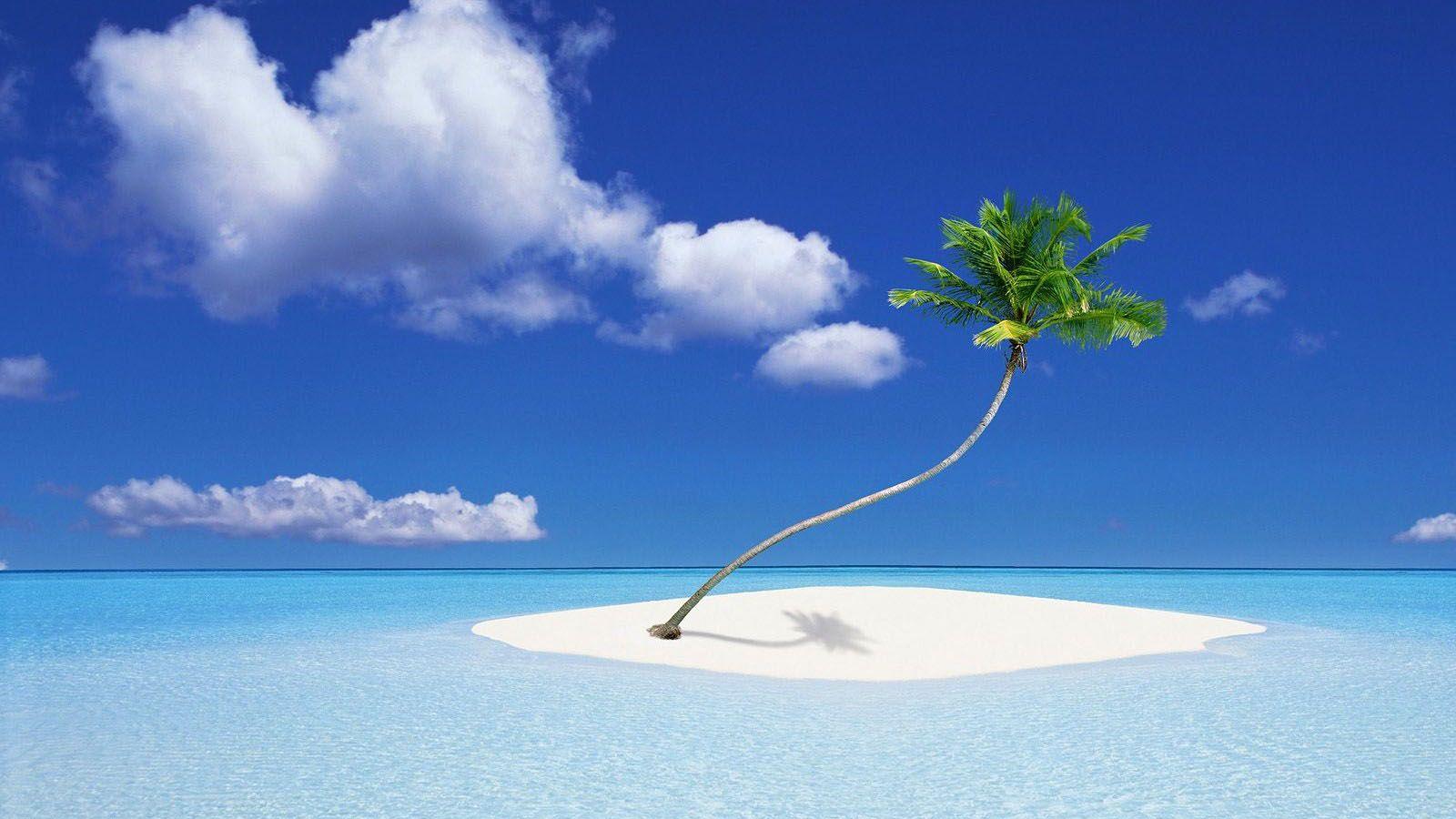 1600x900 Beautiful Nature Wallpaper for your Desktop Mobile and Tablet
