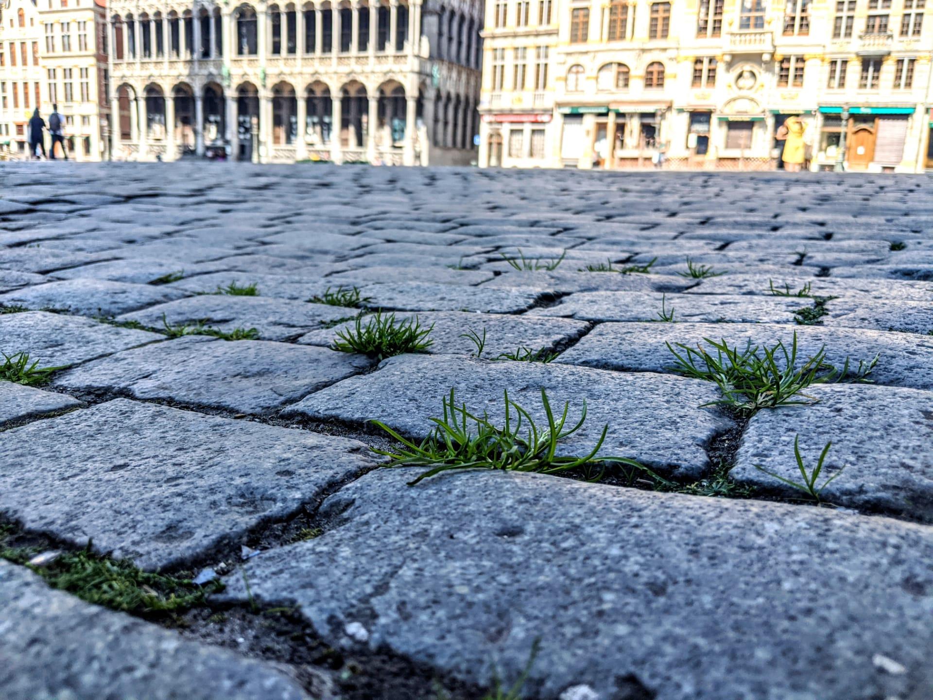 1920x1440 Grand Place Grows Grass: Photo of Lockdown