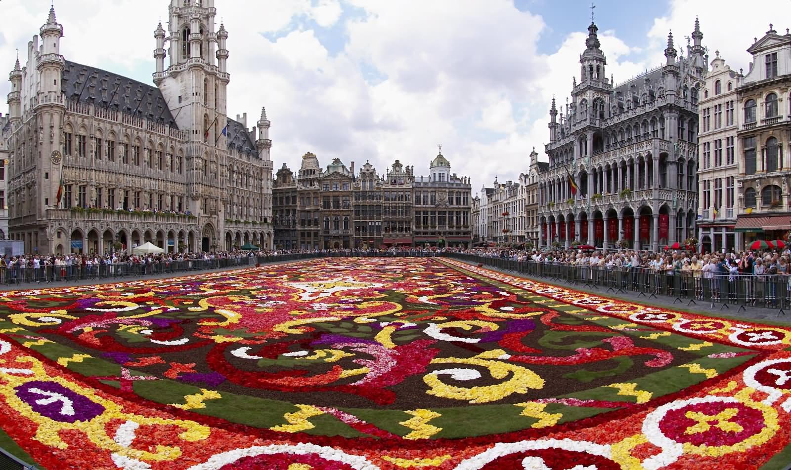 1600x952 Fish Eye View Of The Flowers Carpet At Grand Place In Brussels