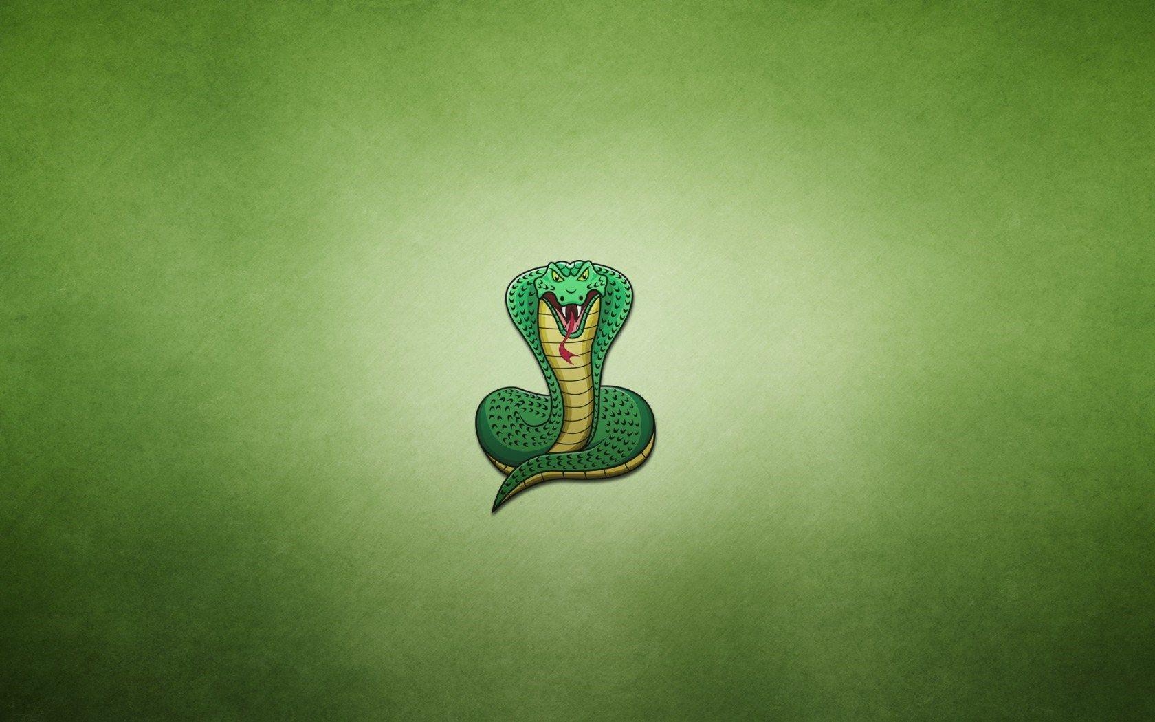 1680x1050 Snake Cobra Green Minimalism