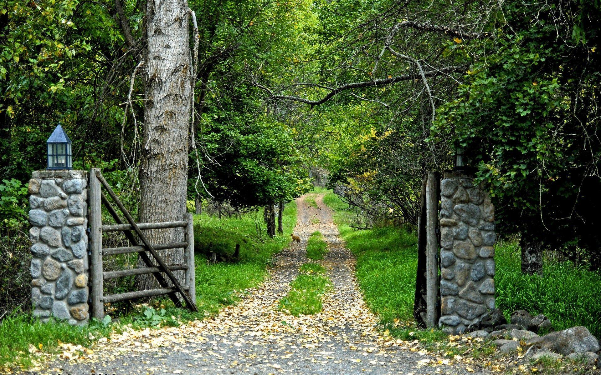 1920x1200 Early autumn path wallpaper. Early autumn path