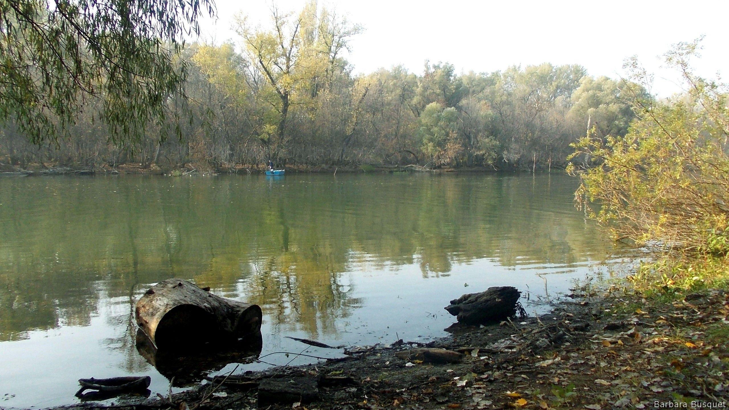 2560x1440 River in early autumn's HD Wallpaper