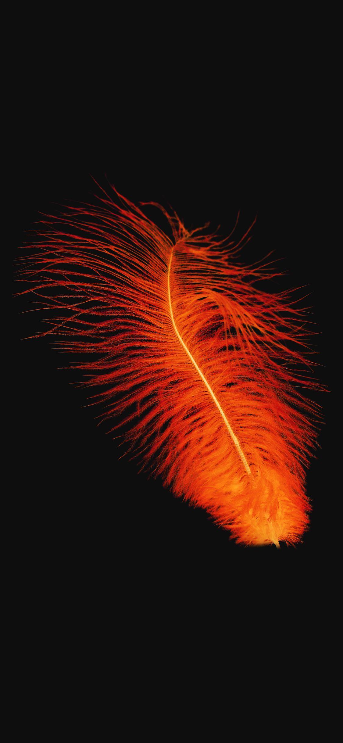 1125x2436 Feather Orange Dark Nature Minimal Wallpaper