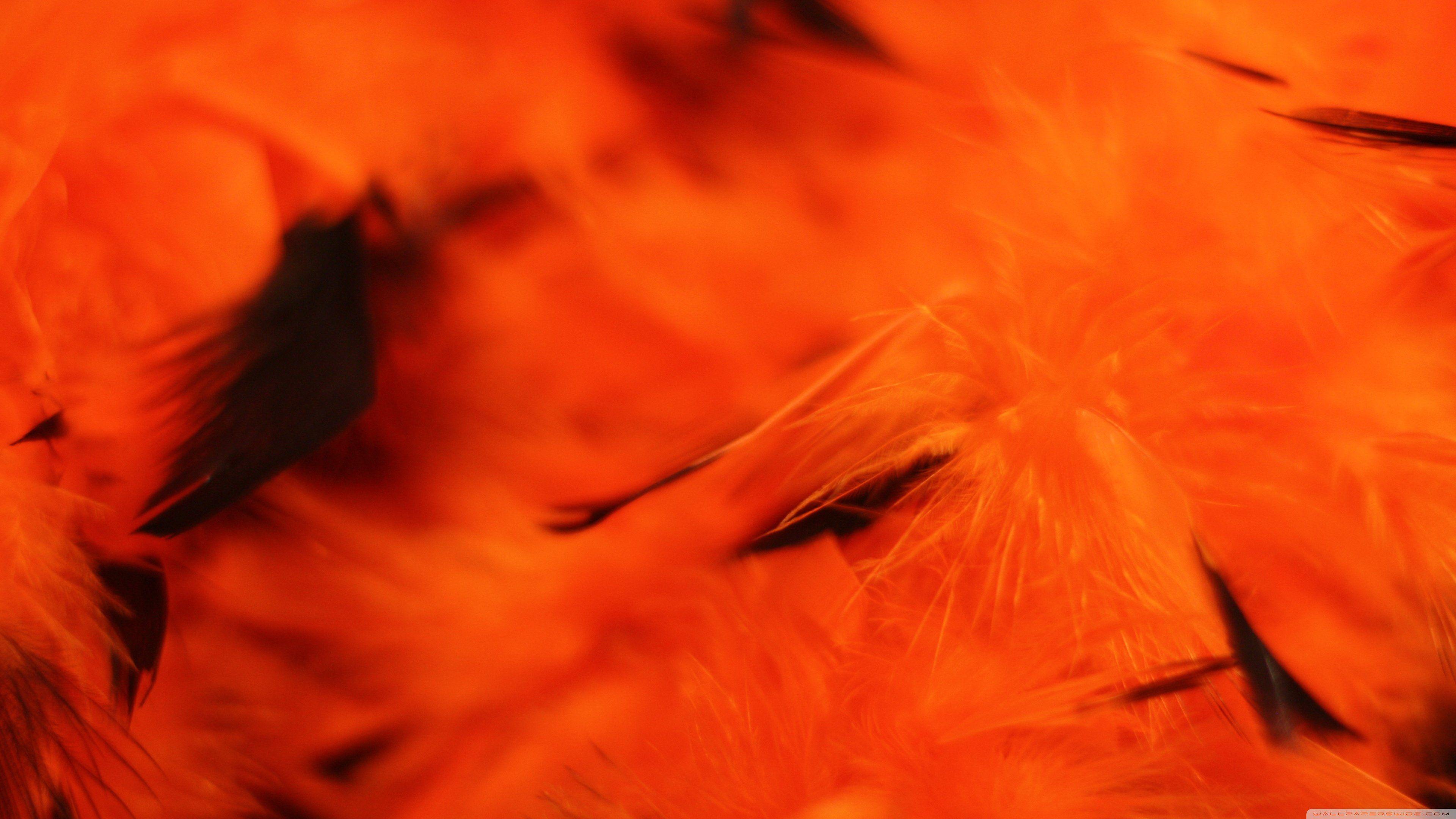 3840x2160 Free download Halloween Orange Background 4K HD Desktop Wallpaper for 4K [3840x2160] for your Desktop, Mobile & Tablet. Explore Orange Halloween Wallpaper. Halloween Orange Wallpaper, Orange Halloween Wallpaper, Halloween