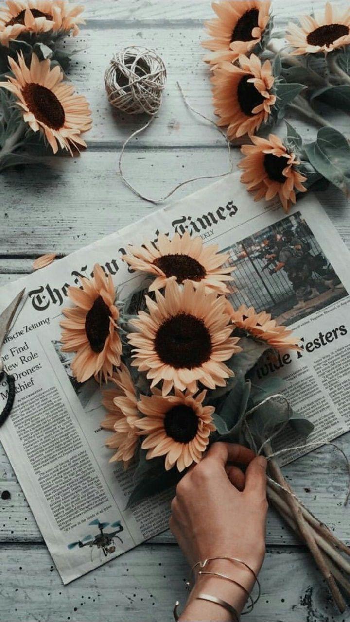 720x1280 wallpaper for your phone. Aesthetic iphone wallpaper, Sunflowers tumblr, Sunflower wallpaper