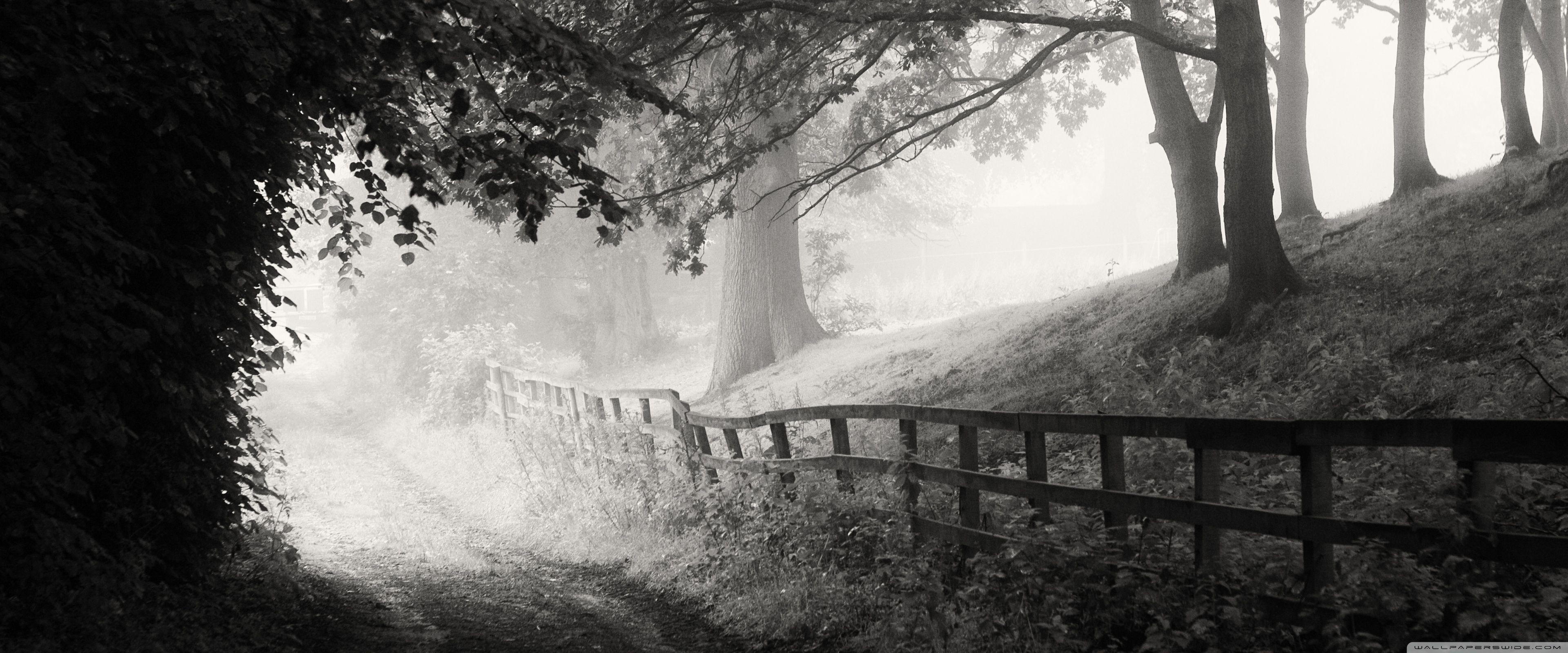 3840x1600 Foggy Morning, Road, Black and White Ultra HD Desktop Background Wallpaper for 4K UHD TV : Widescreen & UltraWide Desktop & Laptop : Tablet