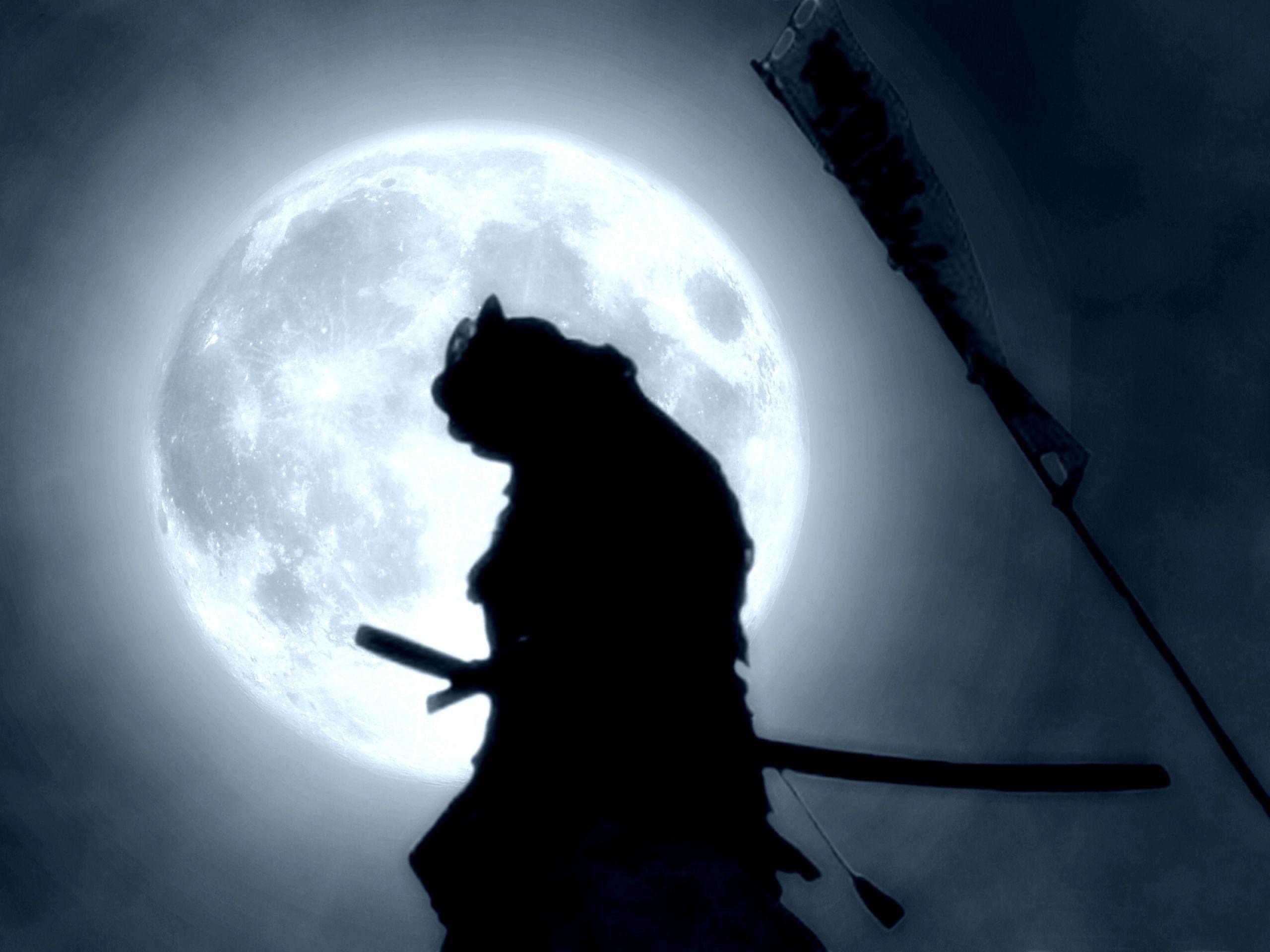 2560x1920 Samurai Wallpaper