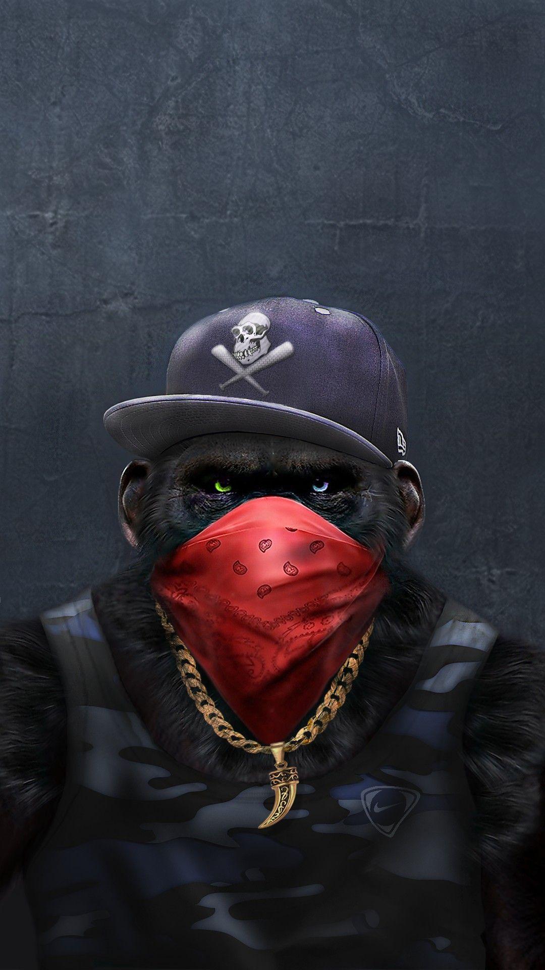 Red Monkey Wallpapers Top Free Red Monkey Backgrounds WallpaperAccess