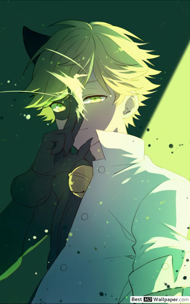 800x1280 Adrien as Cat Noir in Miraculous Ladybug HD wallpaper download