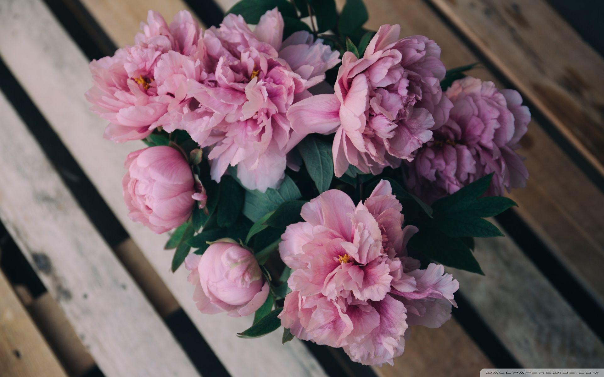 1920x1200 Pink Peonies Flowers in Vase Ultra HD Desktop Background Wallpaper for 4K UHD TV : Widescreen & UltraWide Desktop & Laptop : Tablet