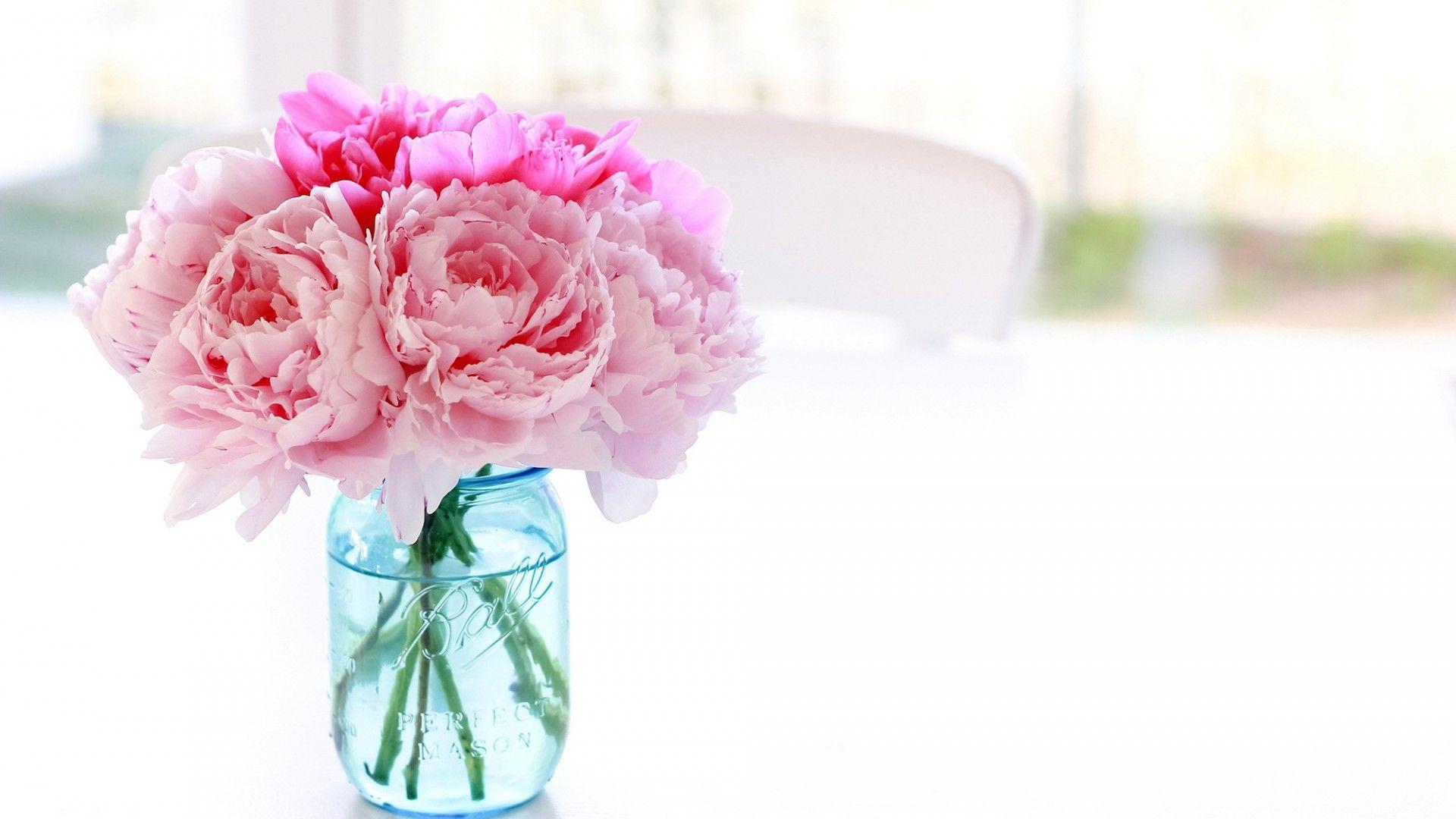 1920x1080 Peonies Wallpaper Desktop