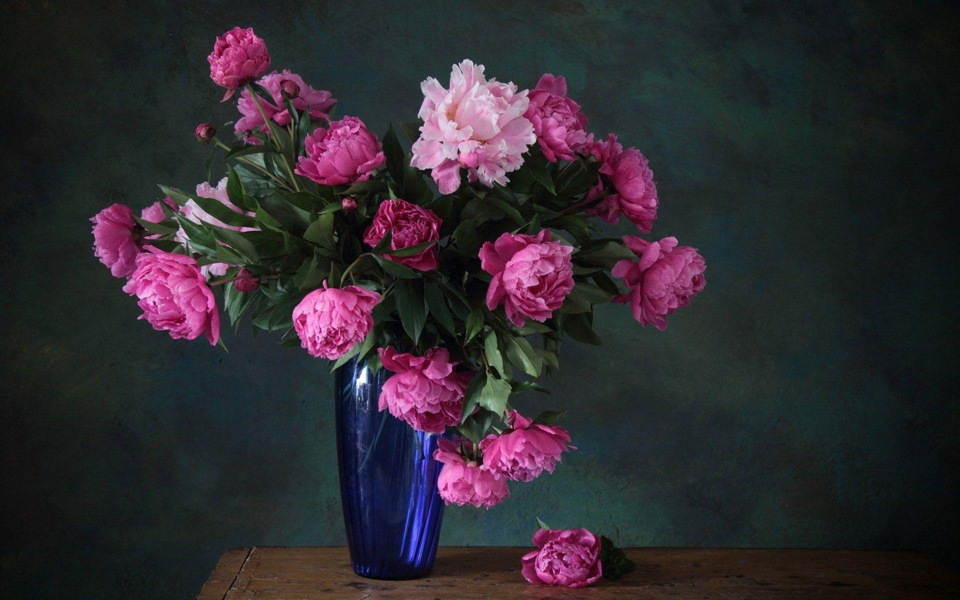 1920x1200 Pink peonies wallpaper 109 - White Peony Flower Wallpaper