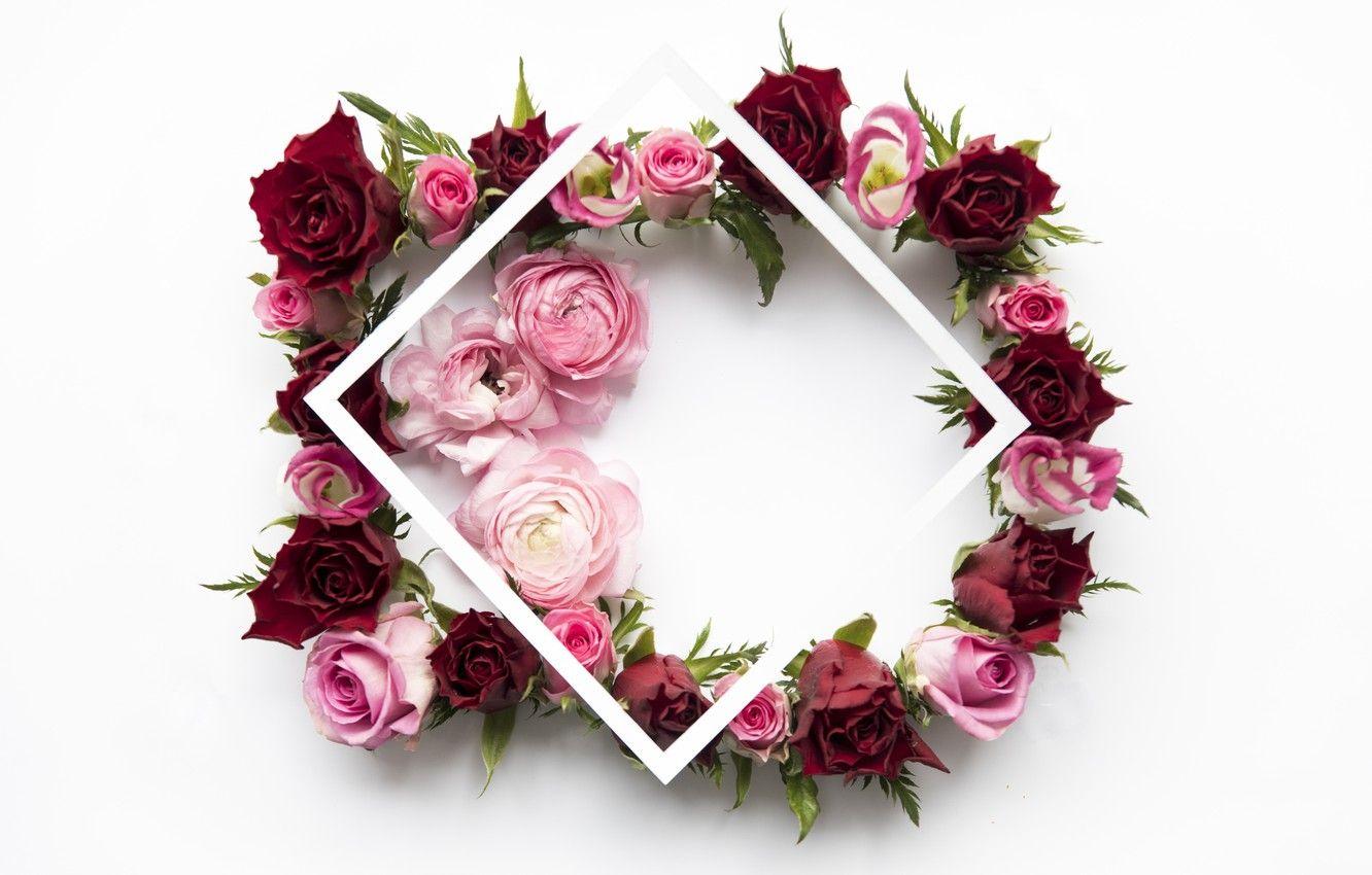 1332x850 Wallpaper flowers, roses, red, pink, pink, flowers, peonies, roses, peonies, frame, floral image for desktop, section цветы