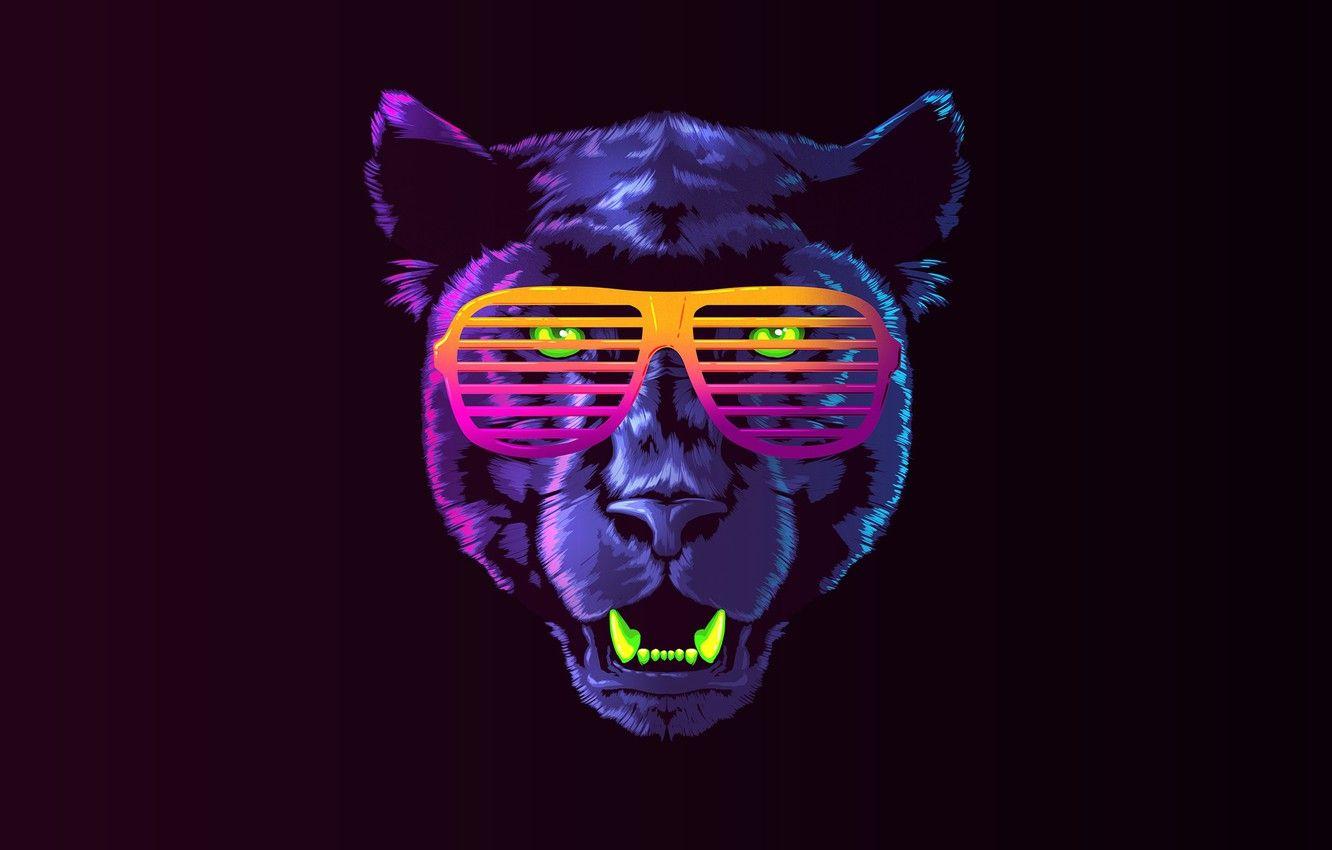 1332x850 Wallpaper Color, Minimalism, Music, Cat, Retro, Glasses, Panther, Background, Face, 80s, Neon, James White, 80's, Synth, Retrowave, Synthwave image for desktop, section минимализм