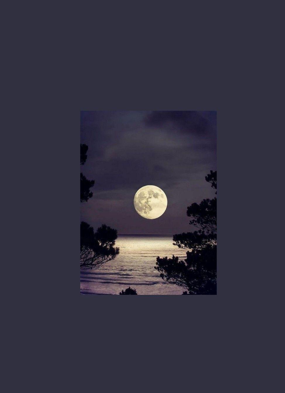 975x1345 aesthetic moon lake forest. Anime scenery, Aesthetic wallpaper, Aesthetic iphone wallpaper