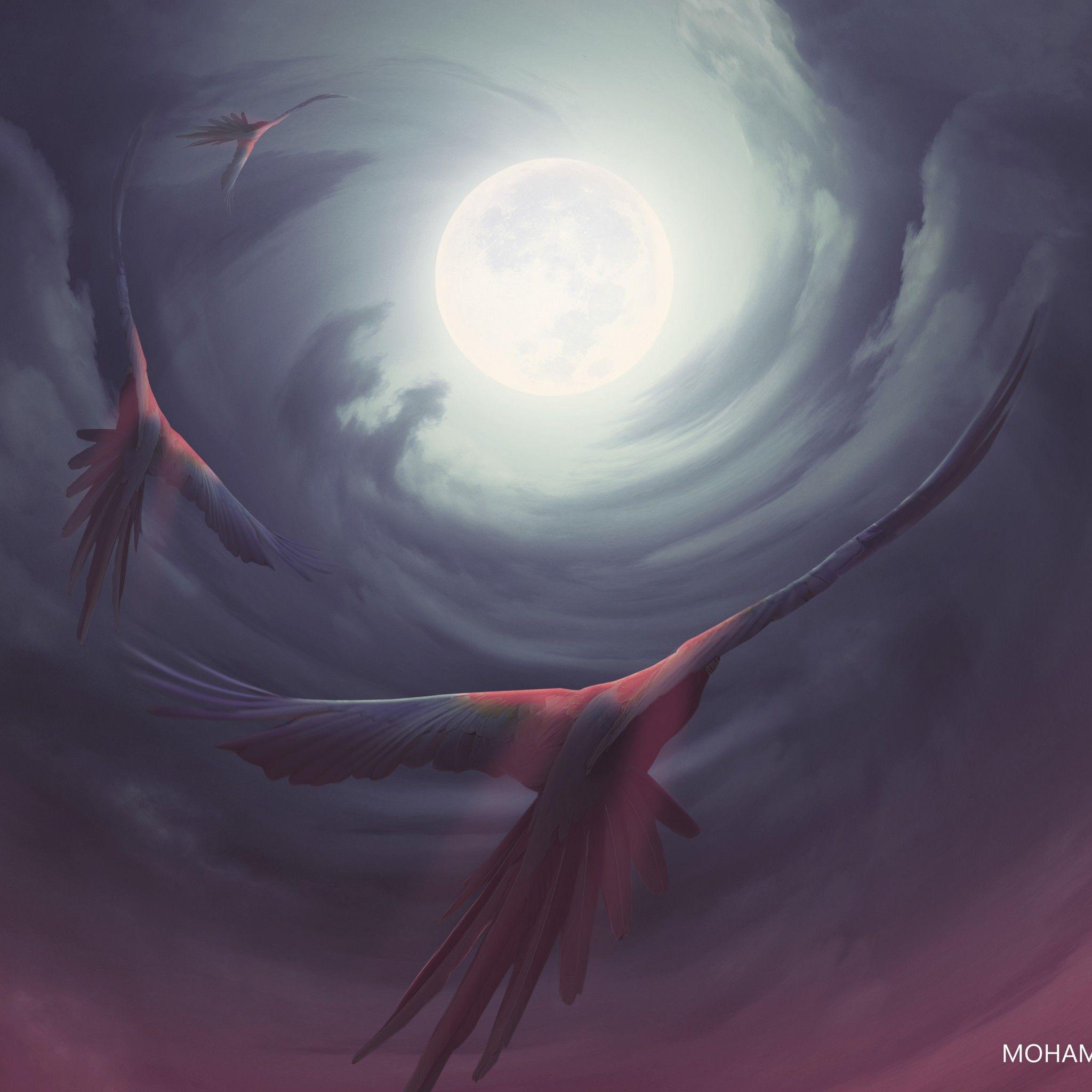 2048x2048 Wallpaper Moon, Birds, Magic, 4K, Creative Graphics,. Wallpaper for iPhone, Android, Mobile and Desktop