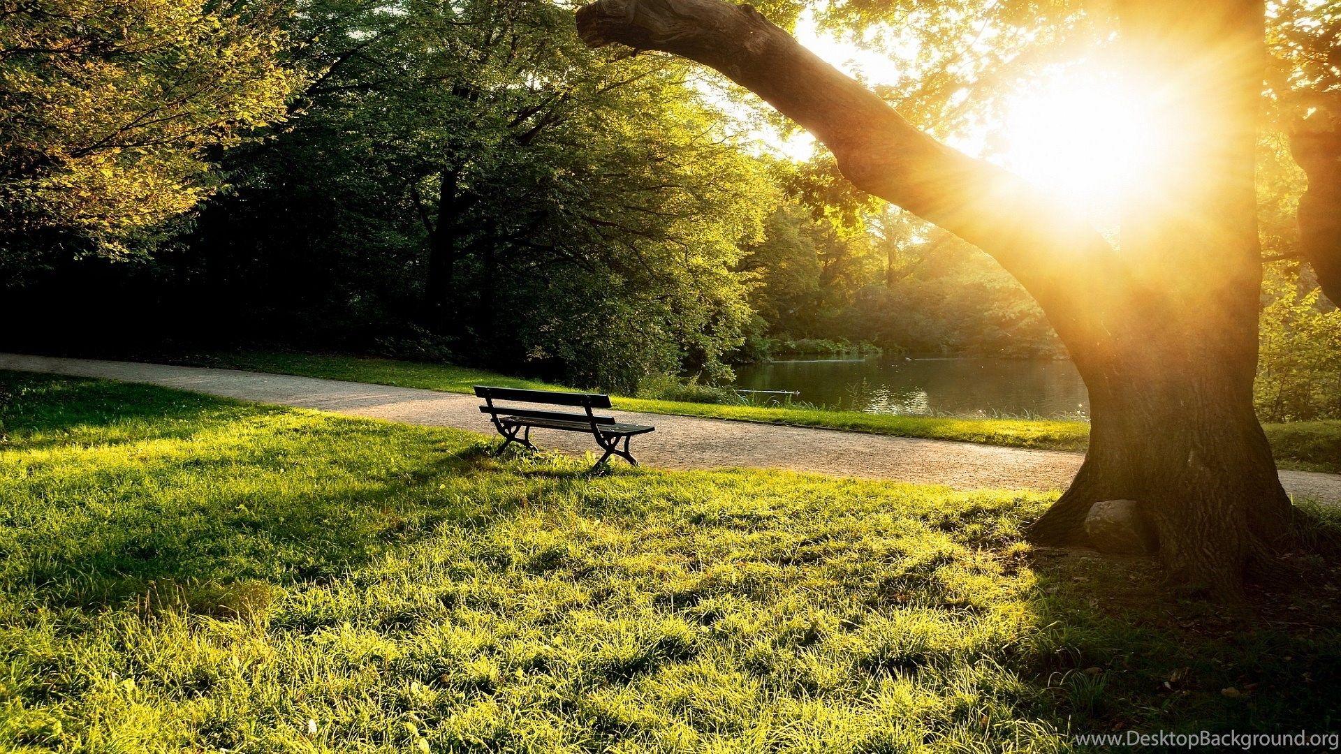 1920x1080 City Park Bench Sunset Wallpaper Desktop Background