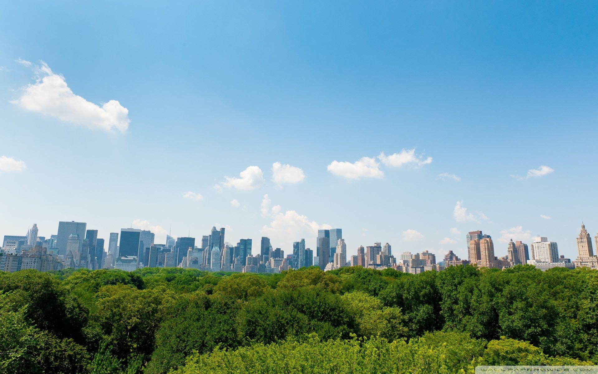 1920x1200 Central Park, New York City Ultra HD Desktop Background Wallpaper for 4K UHD TV : Tablet