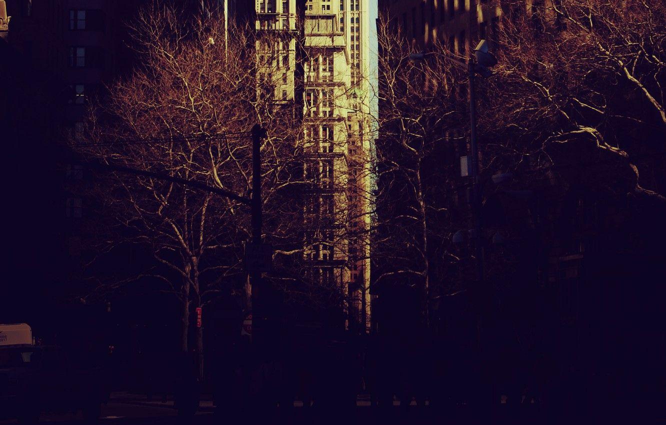 1332x850 Wallpaper trees, city, the city, Park, mood, new York, new york, the Wallpaper, picture for your desktop image for desktop, section настроения