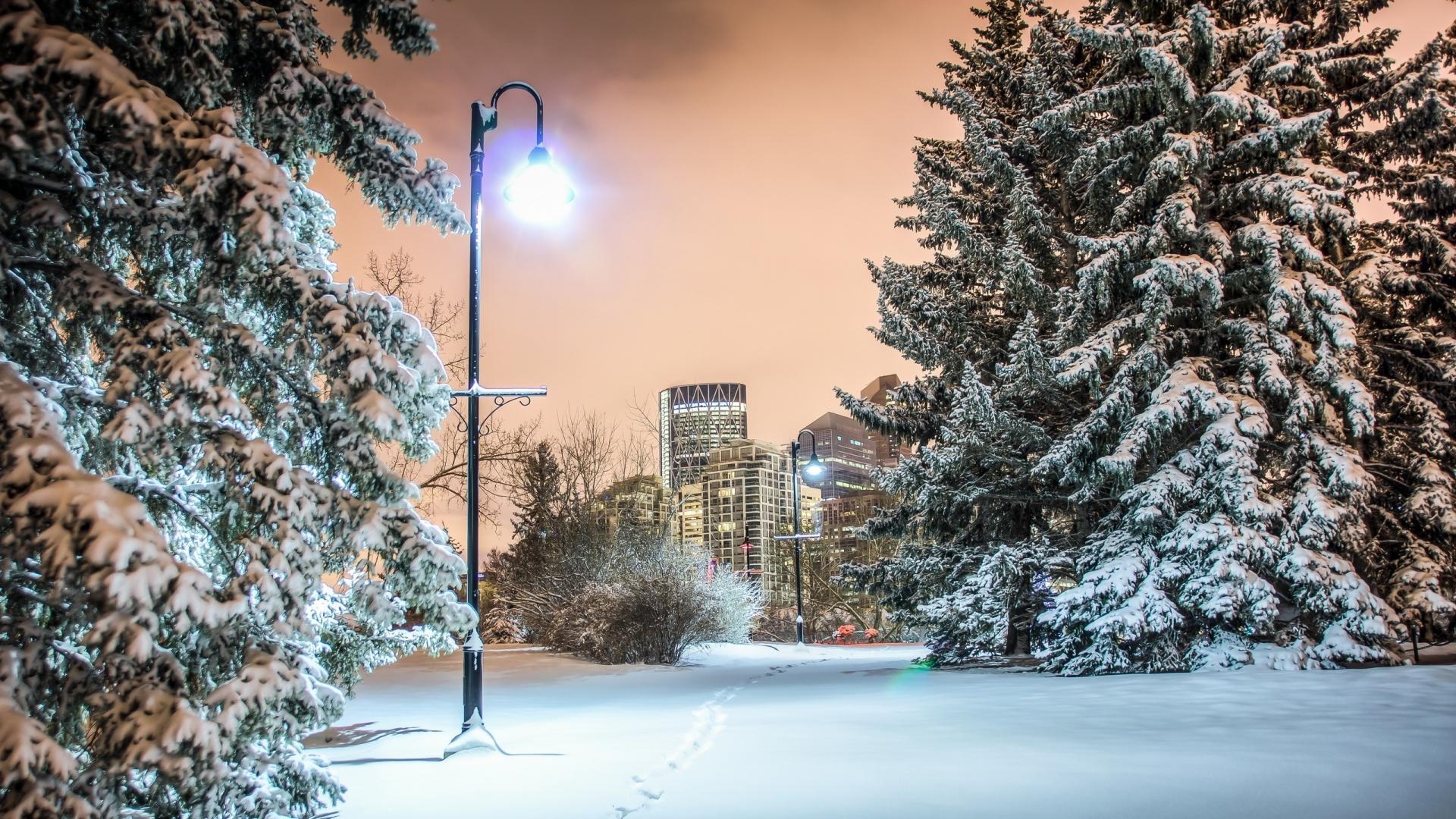 1920x1080 Download 1920x1080 Wondrous Winter In A City Park Hdr wallpaper