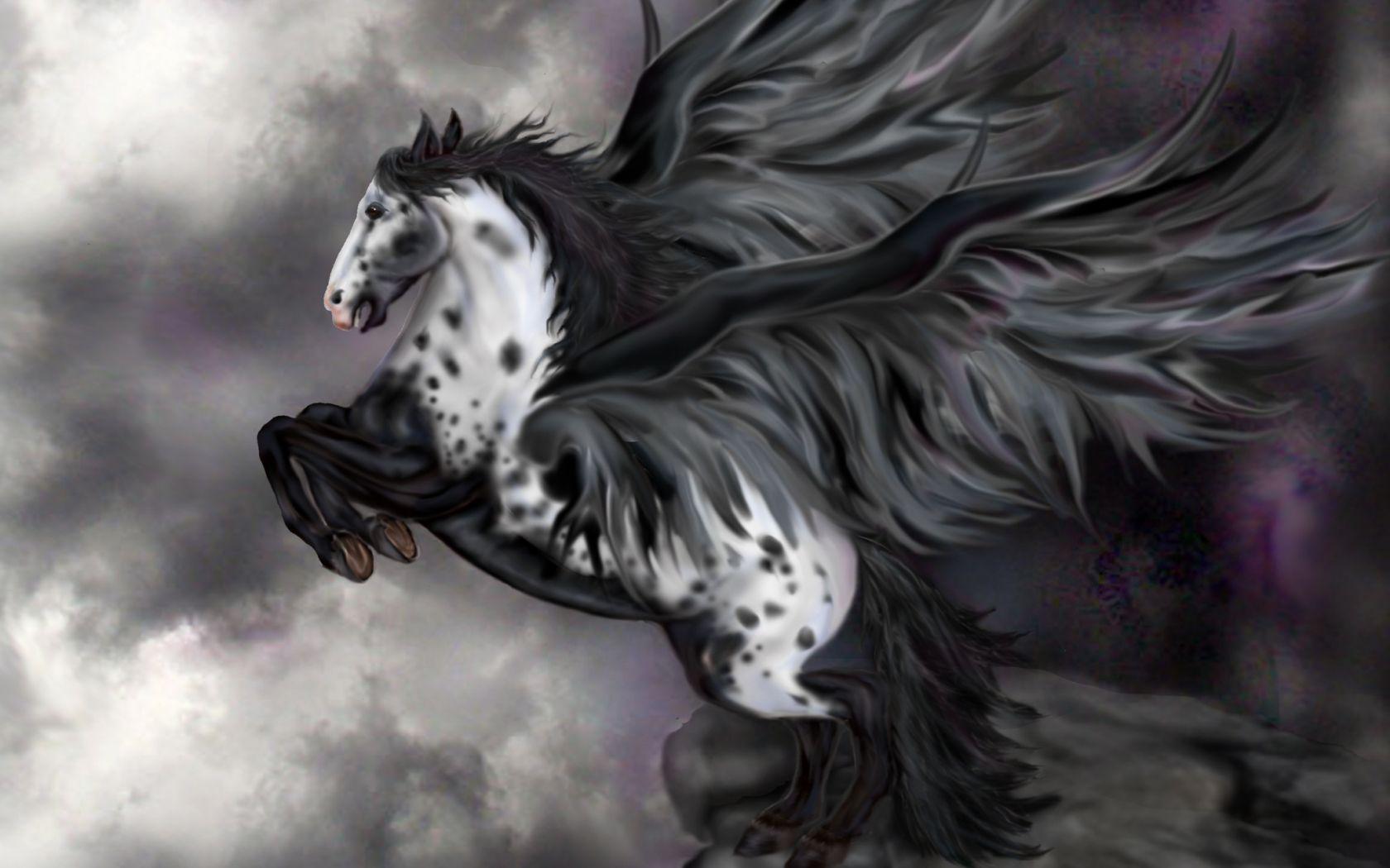 1680x1050 Free download Pegasus Wallpaper [2061x2021] for your Desktop, Mobile & Tablet. Explore Black Pegasus Wallpaper. Battlestar Pegasus Wallpaper, Unicorn Pegasus Wallpaper, Yu Gi Oh Pegasus Wallpaper