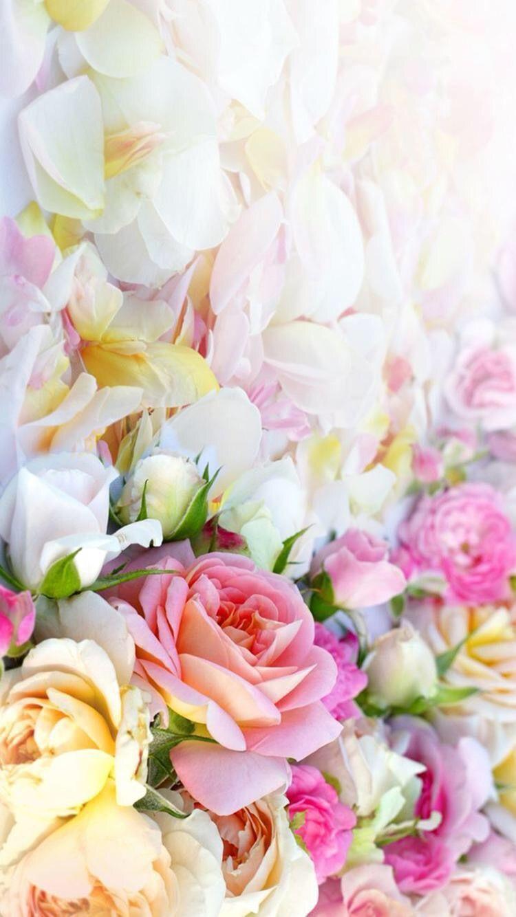 750x1334 (750×1334). Flower wallpaper, Nature iphone wallpaper, Floral wallpaper