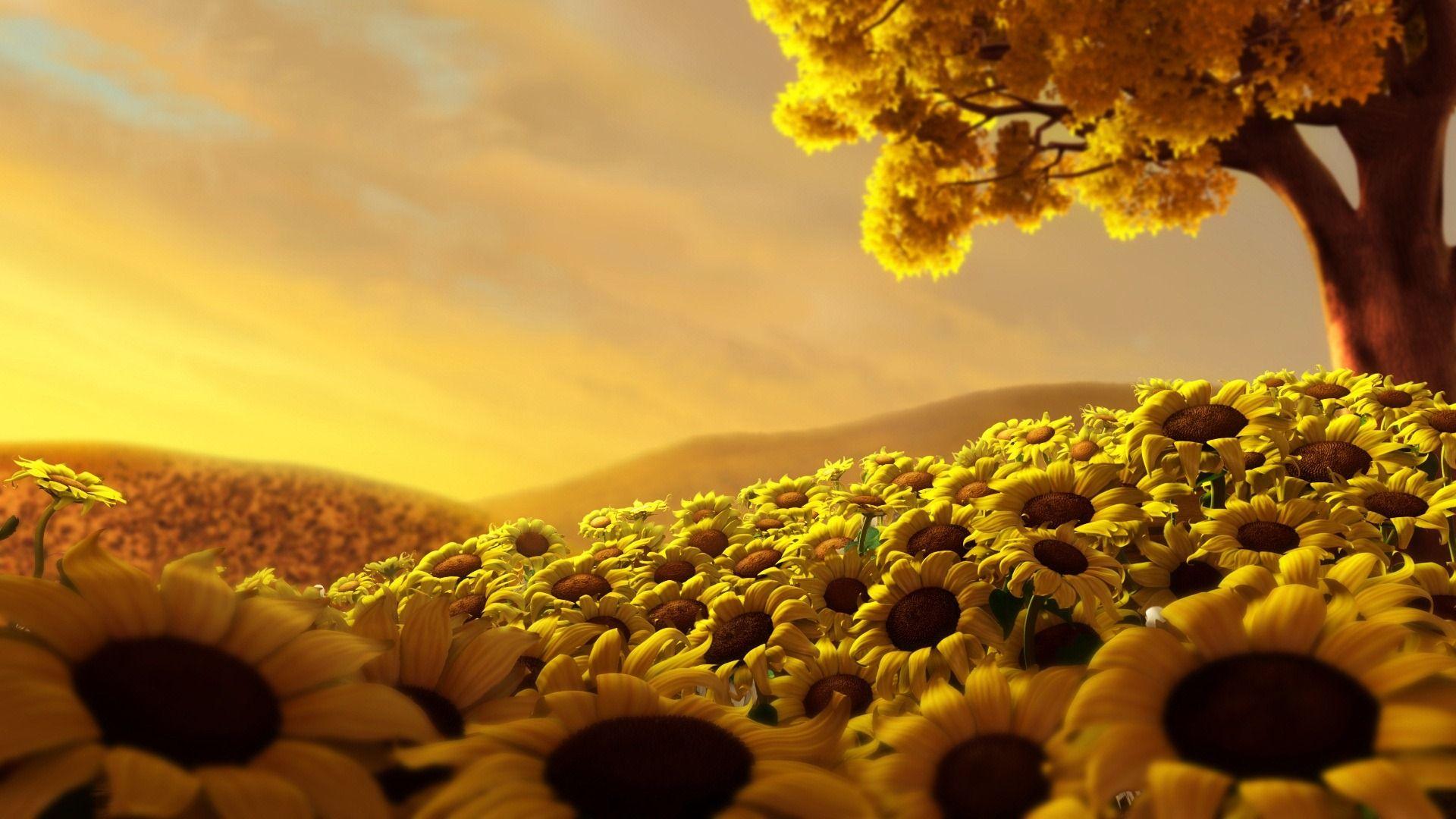 1920x1080 Picture wallpaperx1080