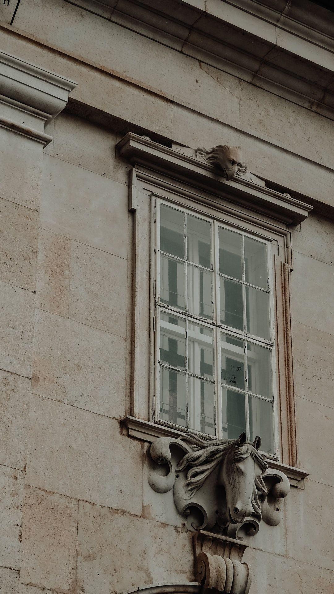 1080x1920 Dark Academia best free academium, dark, grey and art photo