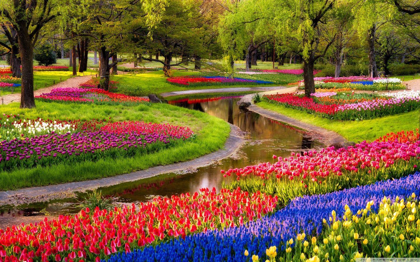 Japanese Flower Garden Wallpapers Top Free Japanese Flower Garden